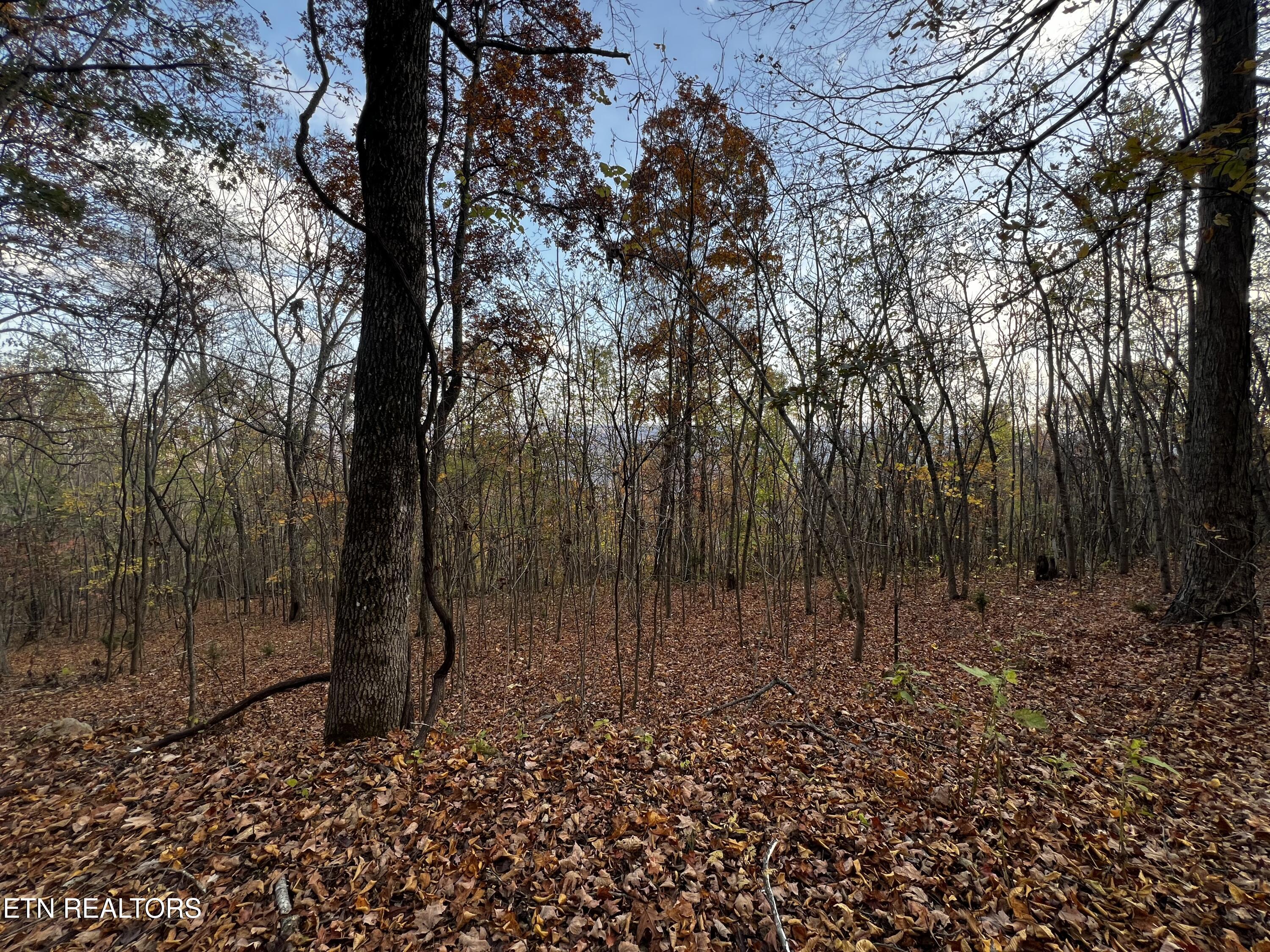 Lot 675 Chimney Rock Road New Tazewell TN 37825