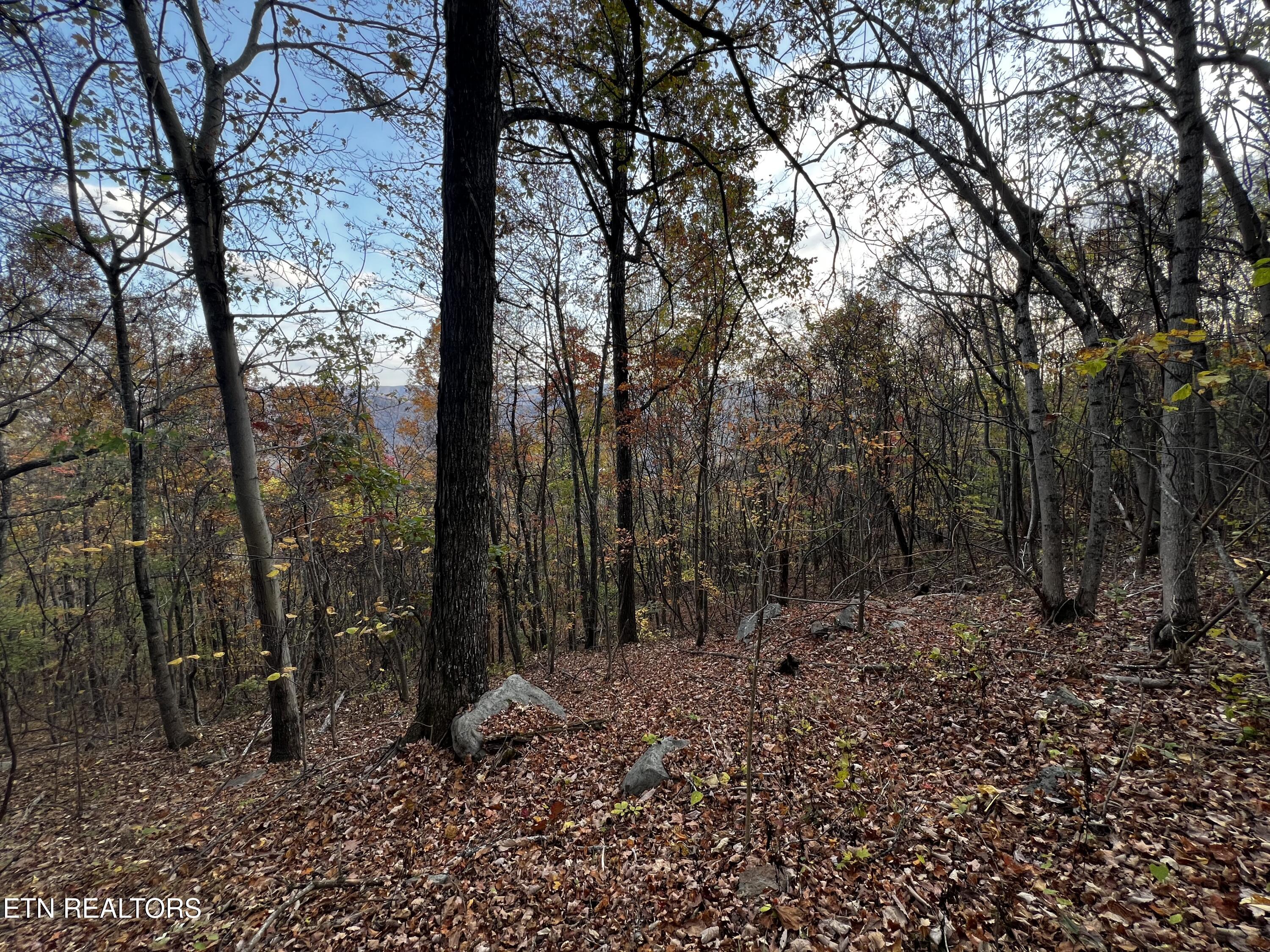 Lot 675 Chimney Rock Road New Tazewell TN 37825
