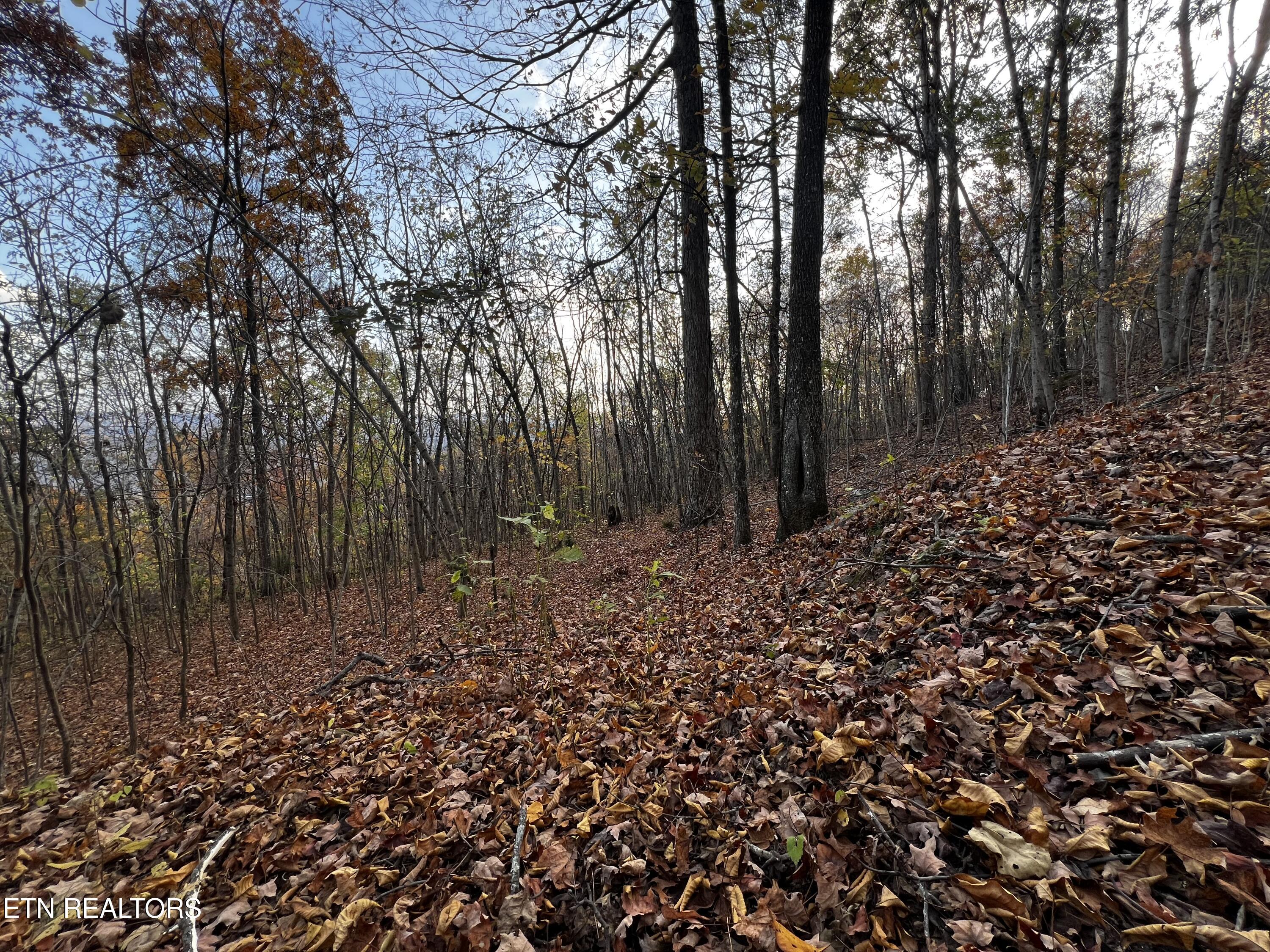 Lot 675 Chimney Rock Road New Tazewell TN 37825
