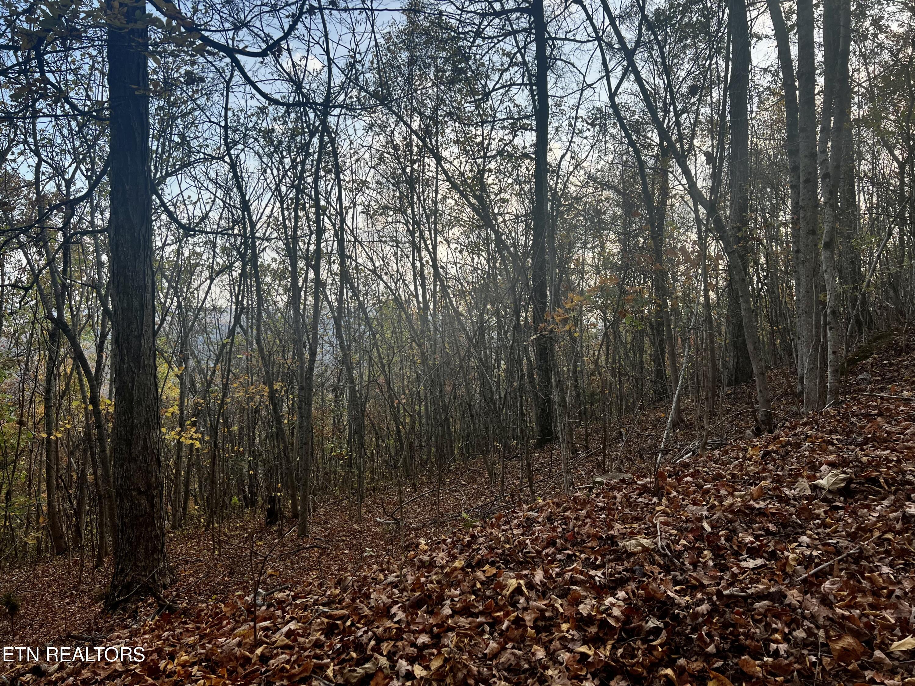 Lot 675 Chimney Rock Road New Tazewell TN 37825