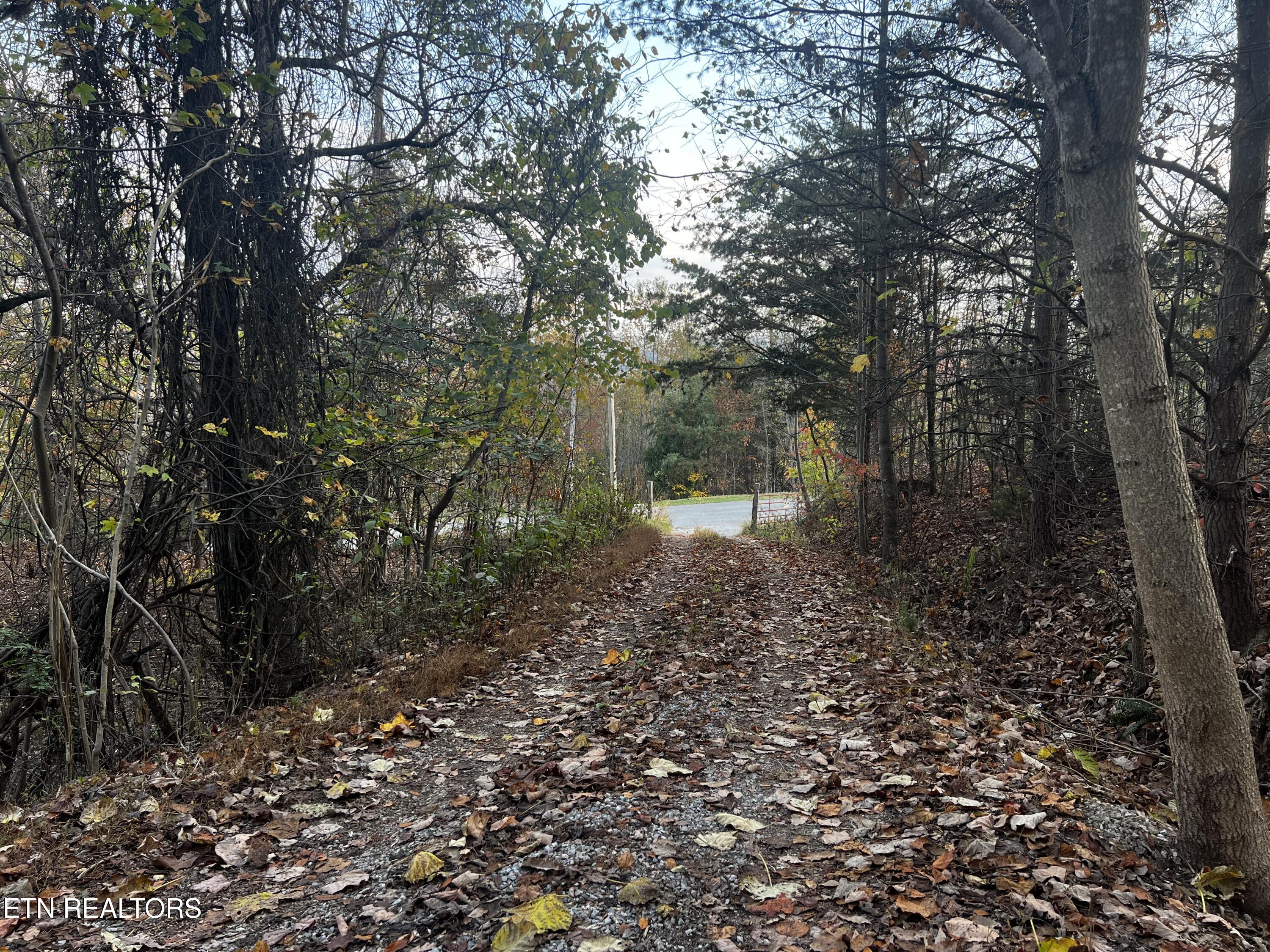 Lot 675 Chimney Rock Road New Tazewell TN 37825