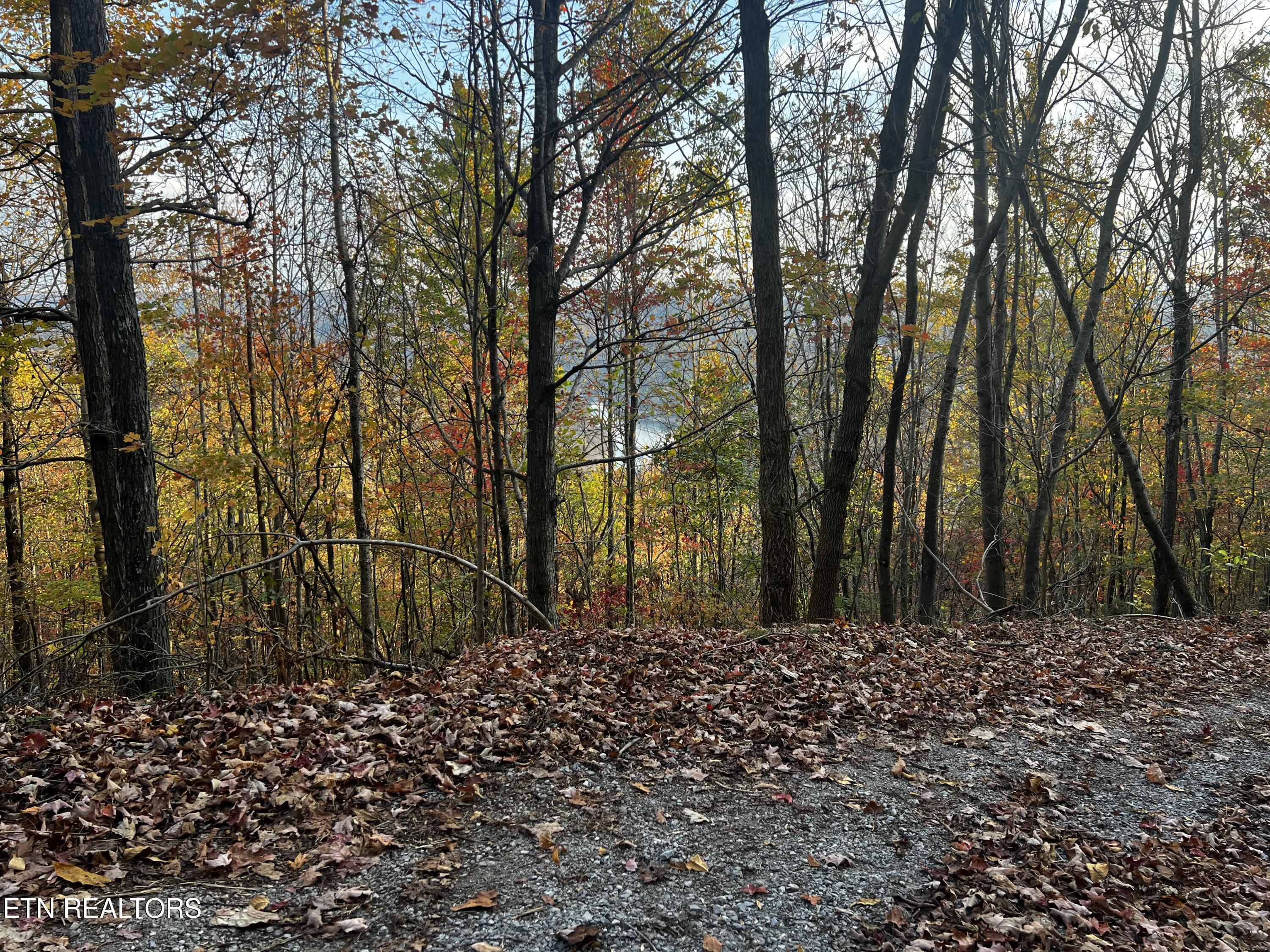 Lot 675 Chimney Rock Road New Tazewell TN 37825