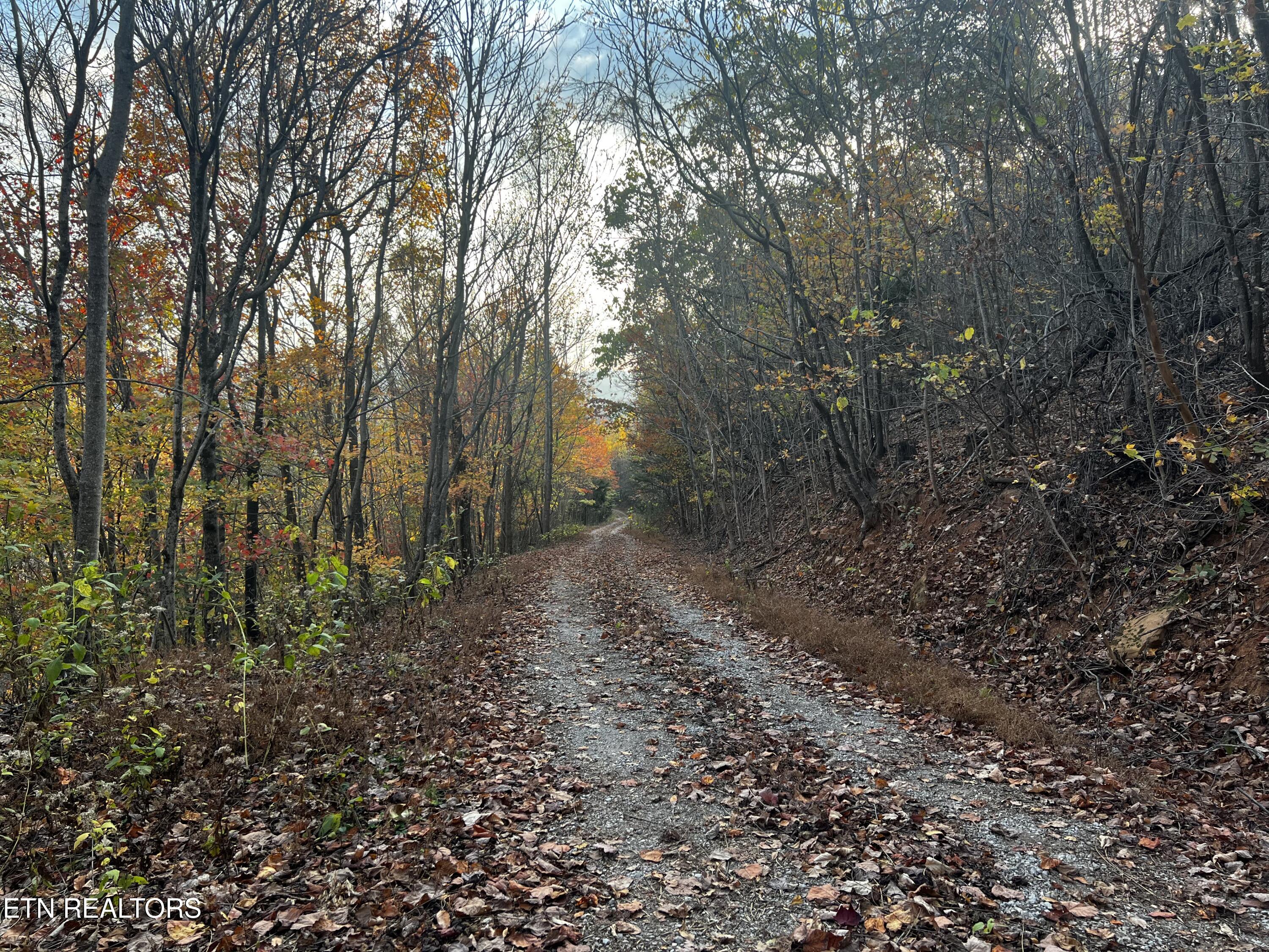 Lot 675 Chimney Rock Road New Tazewell TN 37825