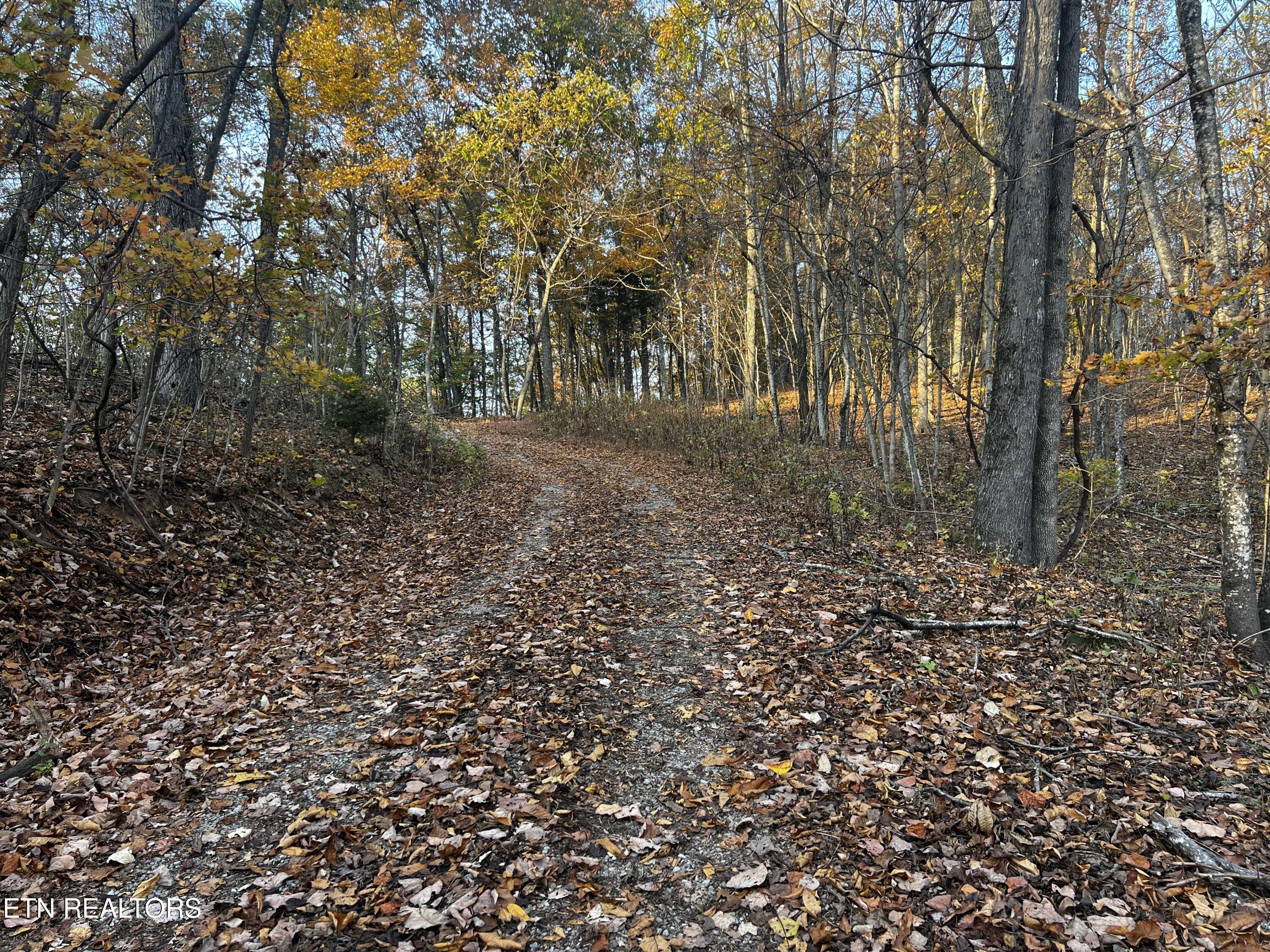 Lot 675 Chimney Rock Road New Tazewell TN 37825