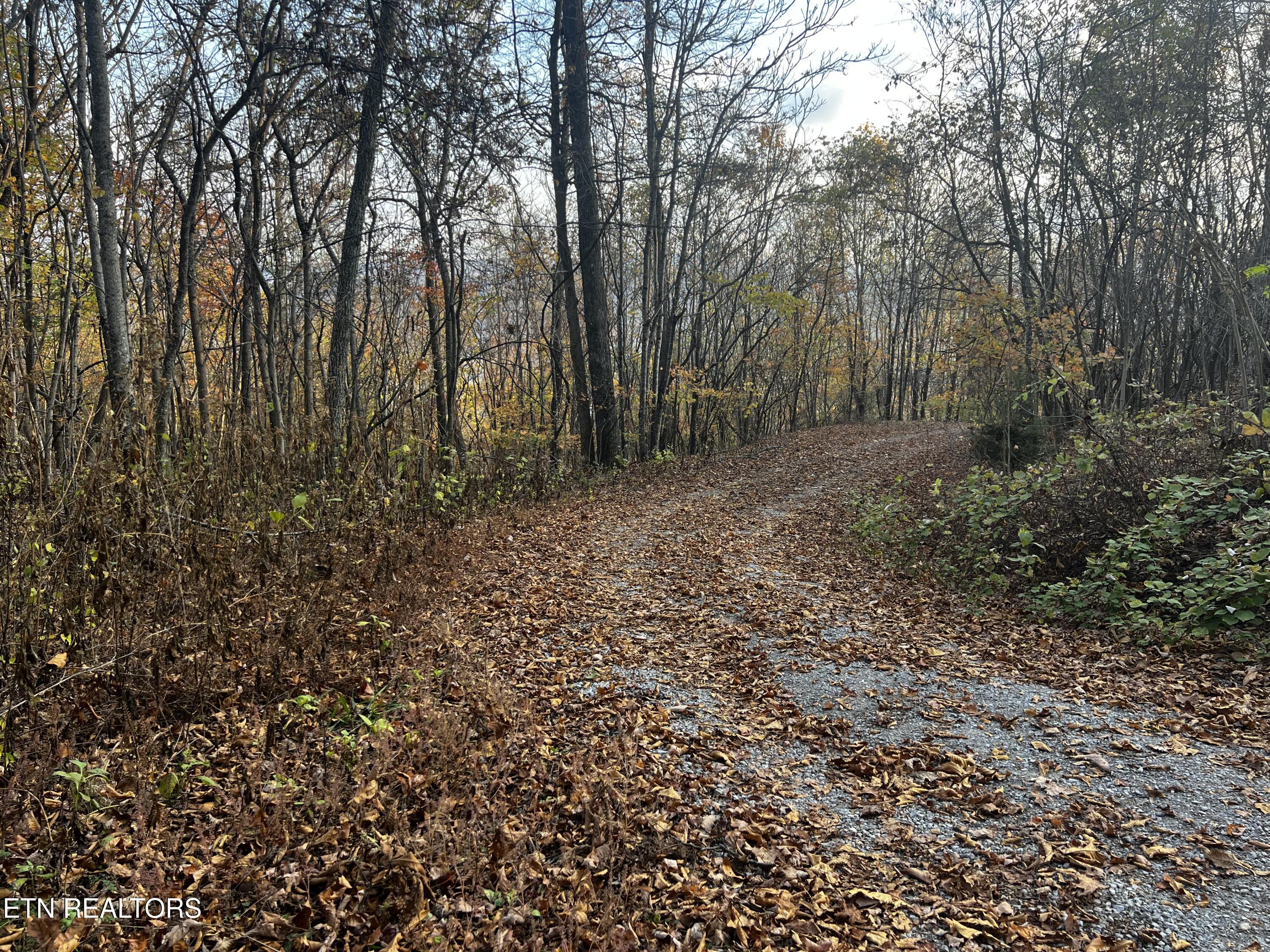 Lot 675 Chimney Rock Road New Tazewell TN 37825