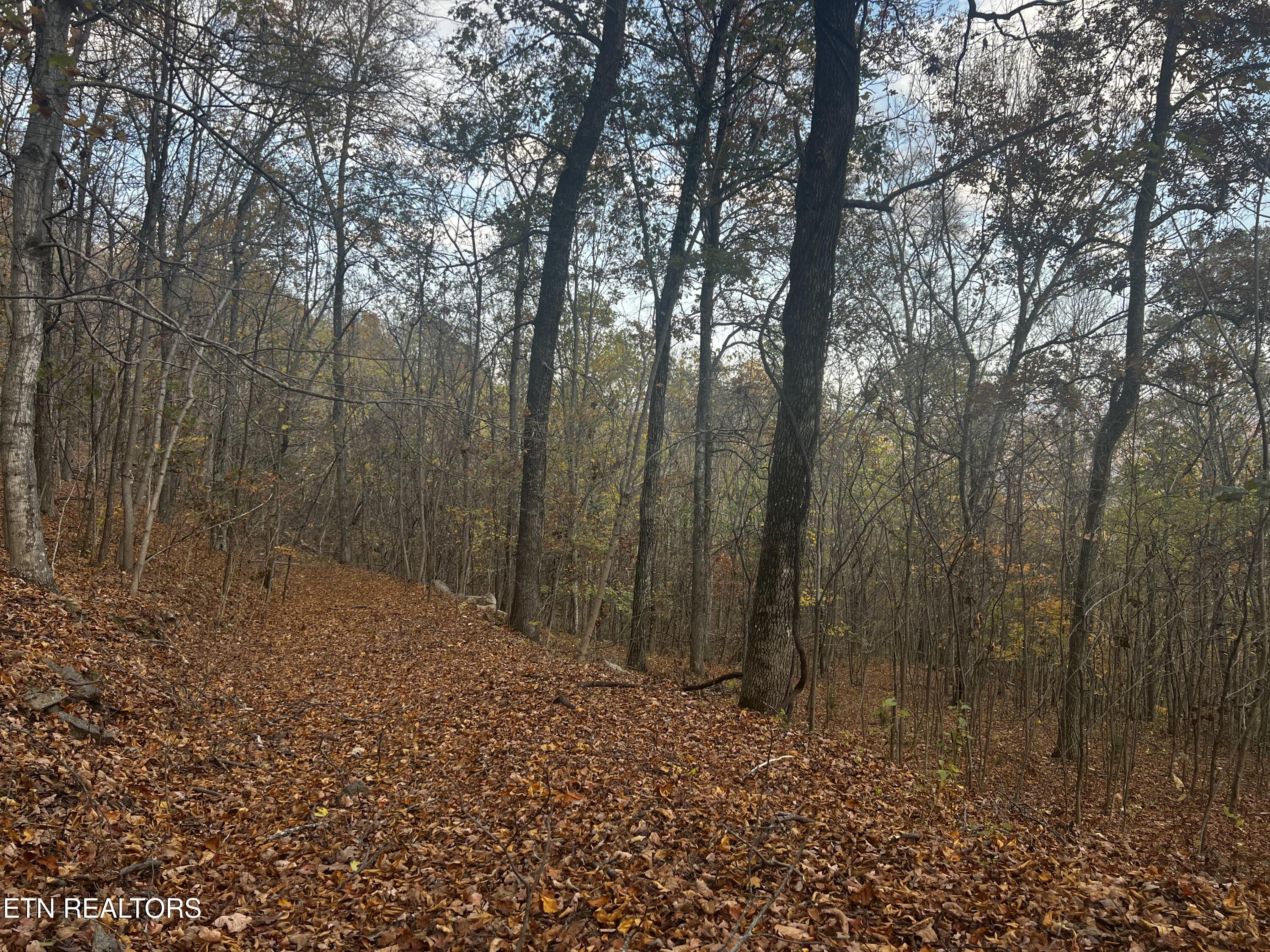 Lot 675 Chimney Rock Road New Tazewell TN 37825