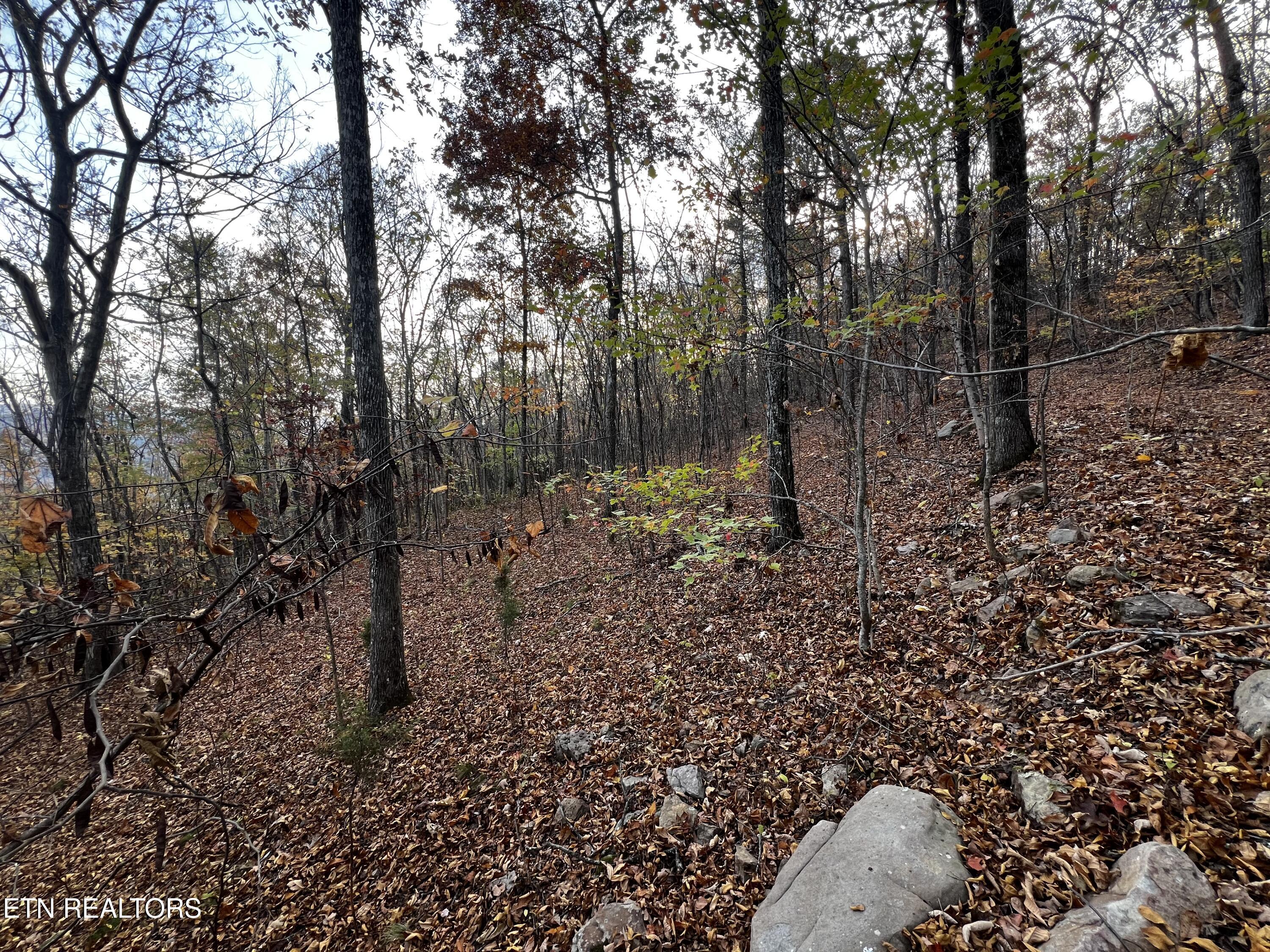 Lot 675 Chimney Rock Road New Tazewell TN 37825