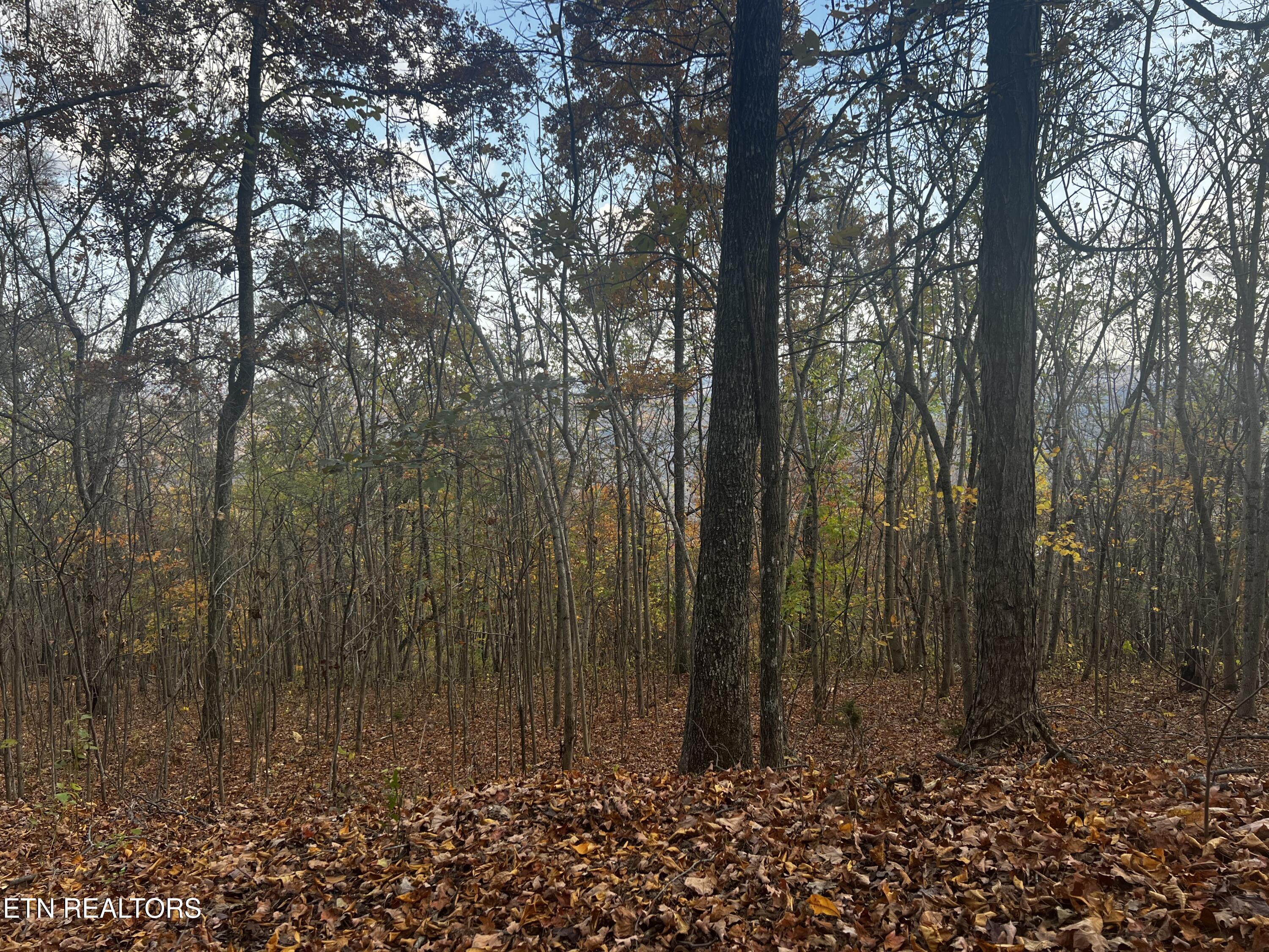 Lot 675 Chimney Rock Road New Tazewell TN 37825