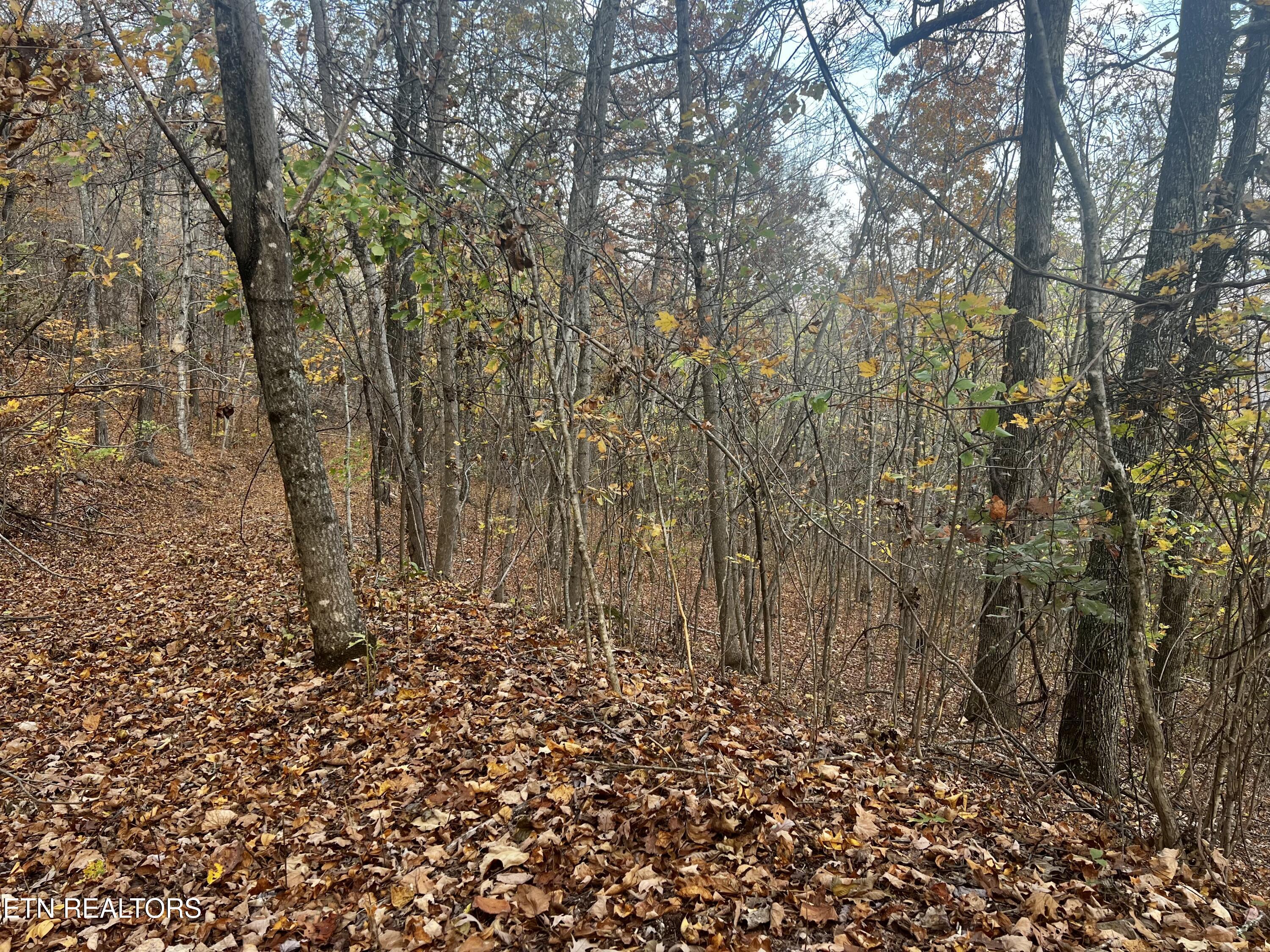 Lot 675 Chimney Rock Road New Tazewell TN 37825