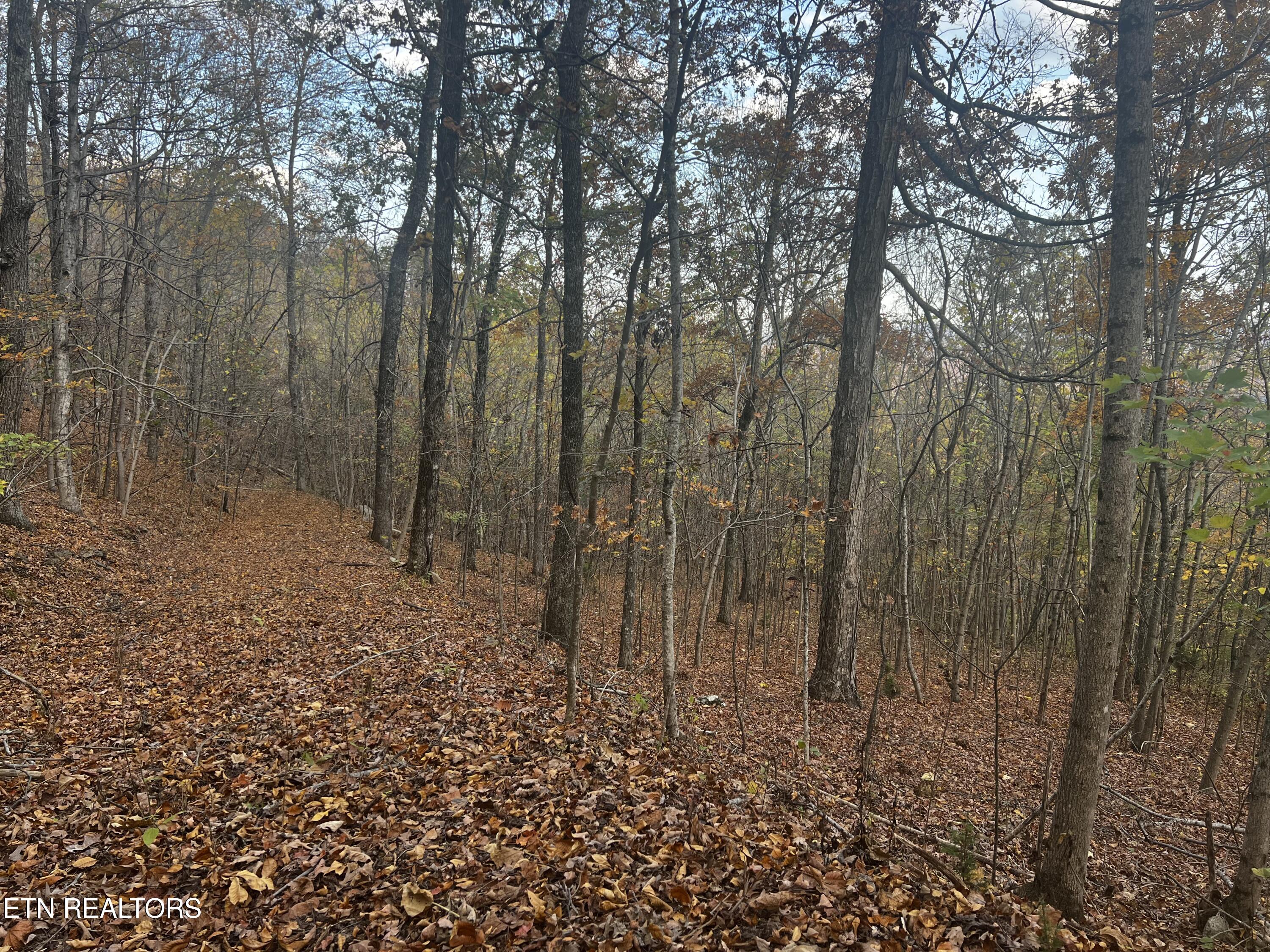 Lot 675 Chimney Rock Road New Tazewell TN 37825