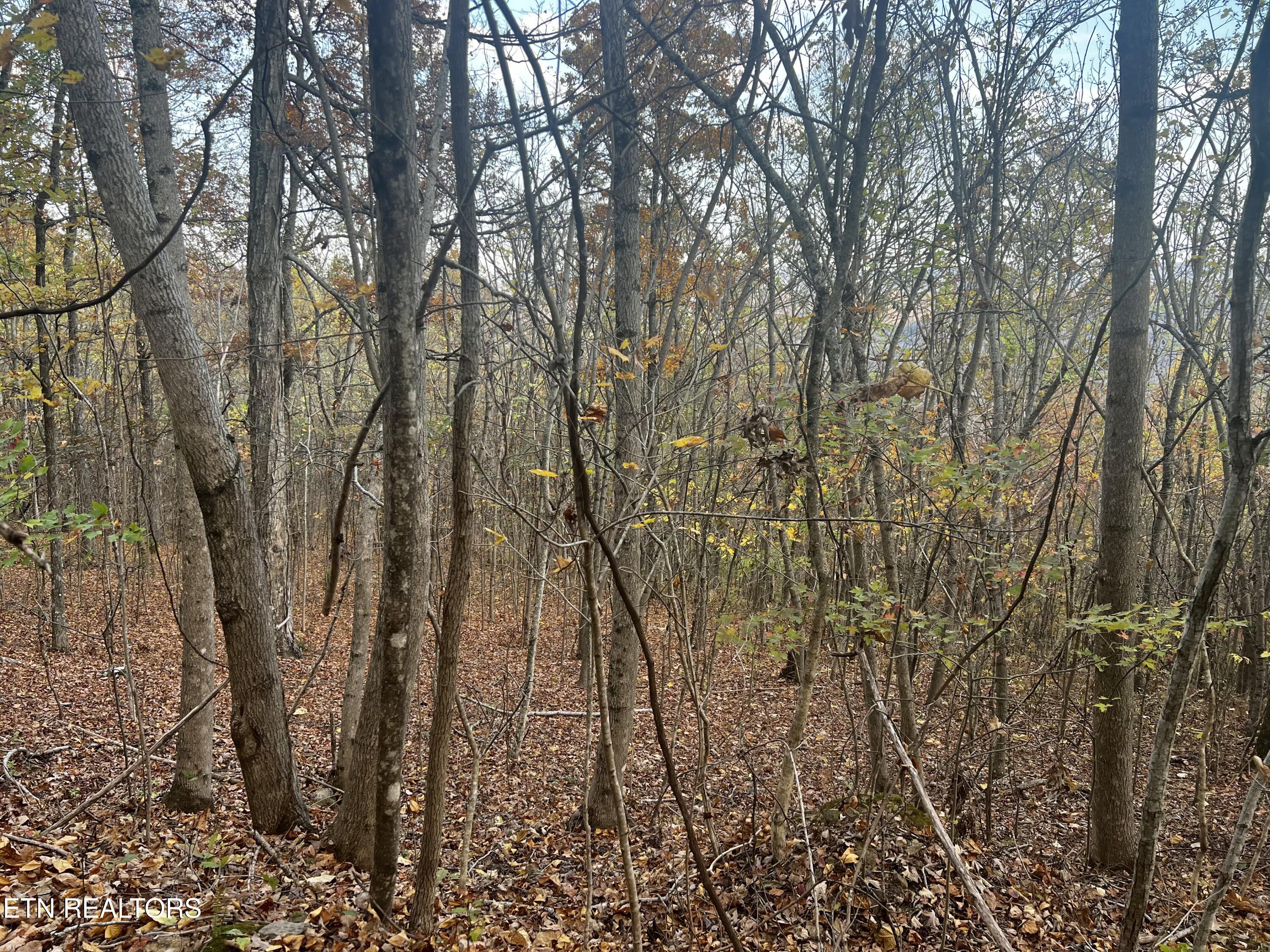 Lot 675 Chimney Rock Road New Tazewell TN 37825