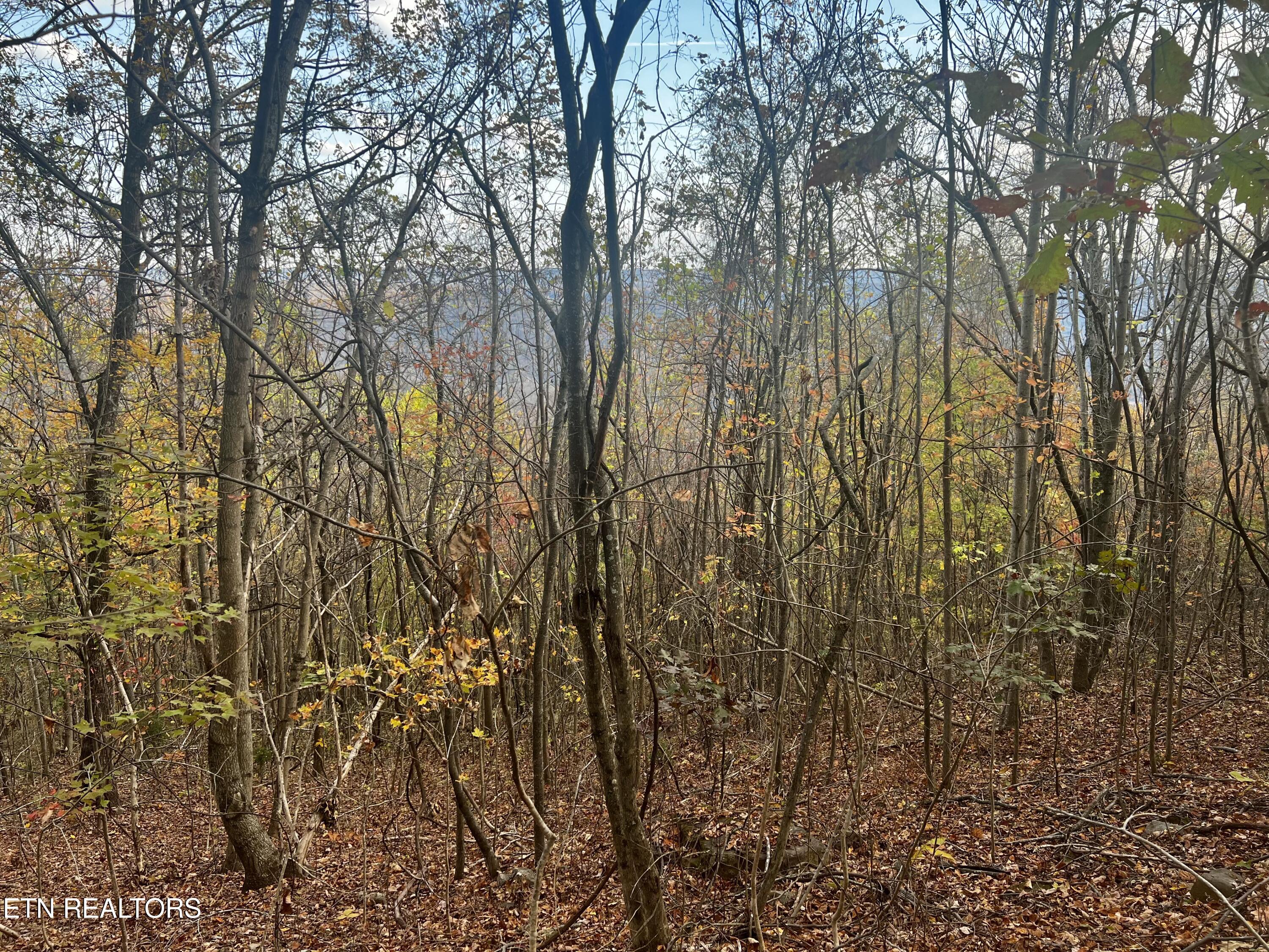 Lot 675 Chimney Rock Road New Tazewell TN 37825