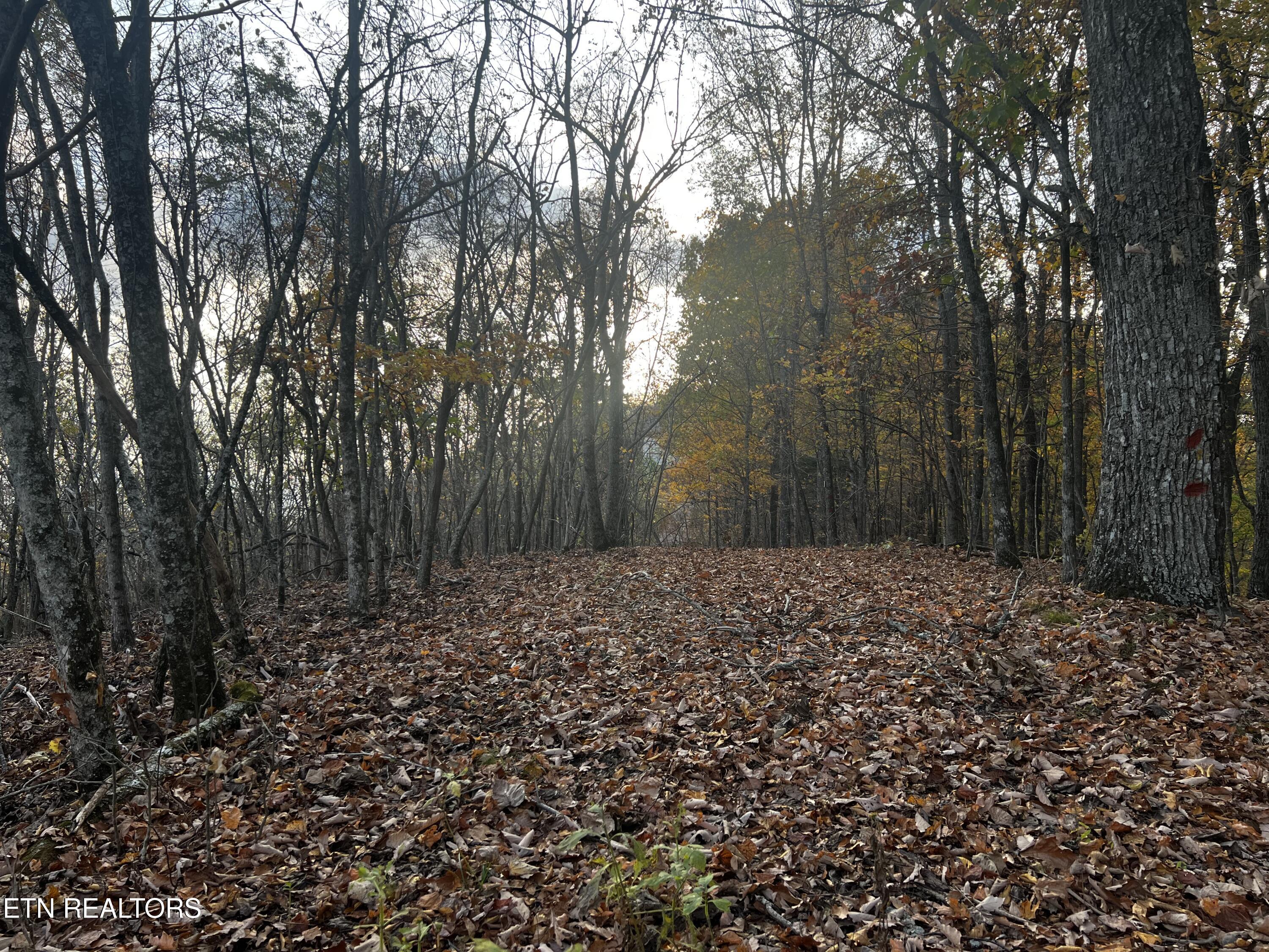 Lot 675 Chimney Rock Road New Tazewell TN 37825
