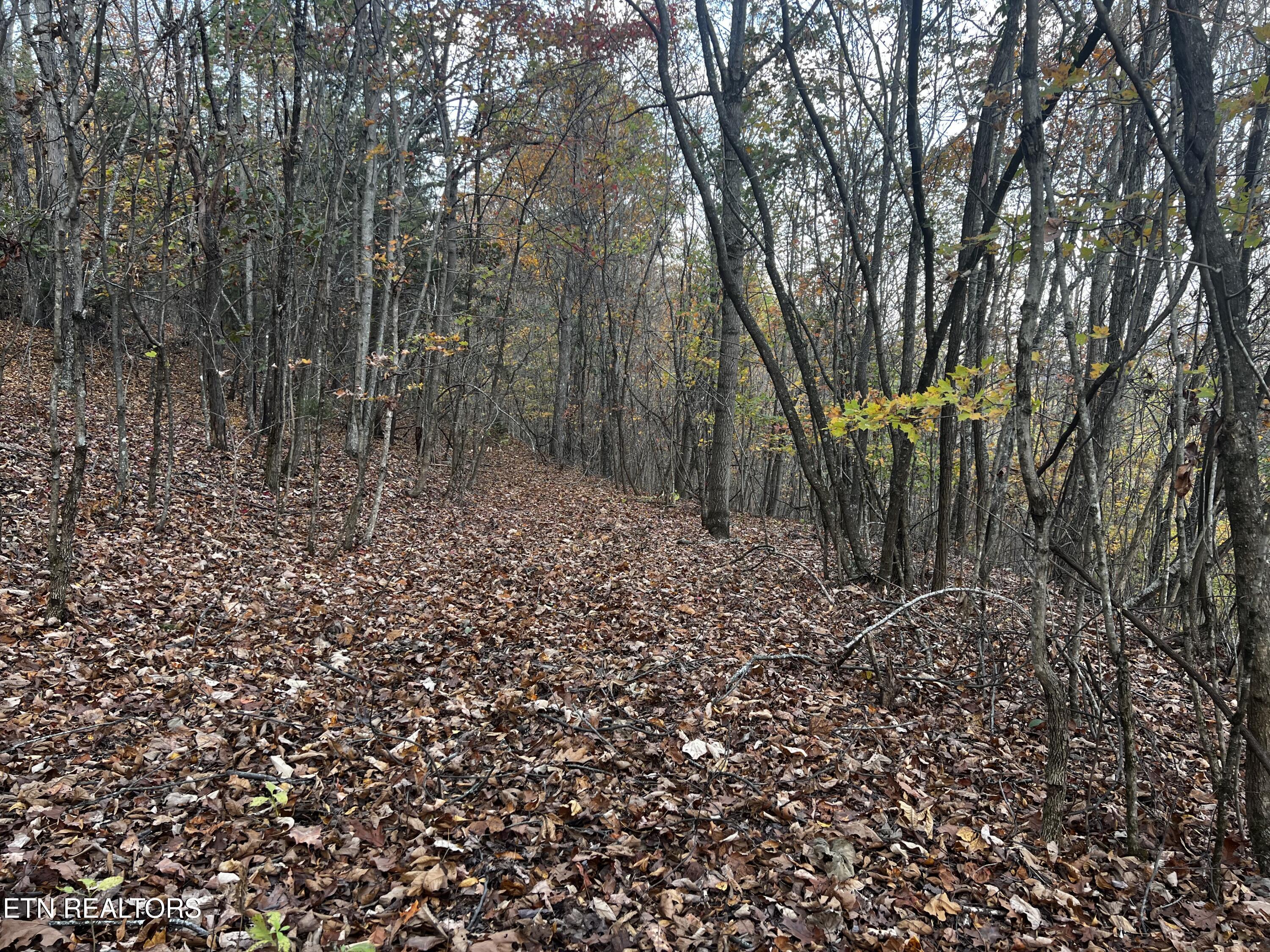 Lot 675 Chimney Rock Road New Tazewell TN 37825