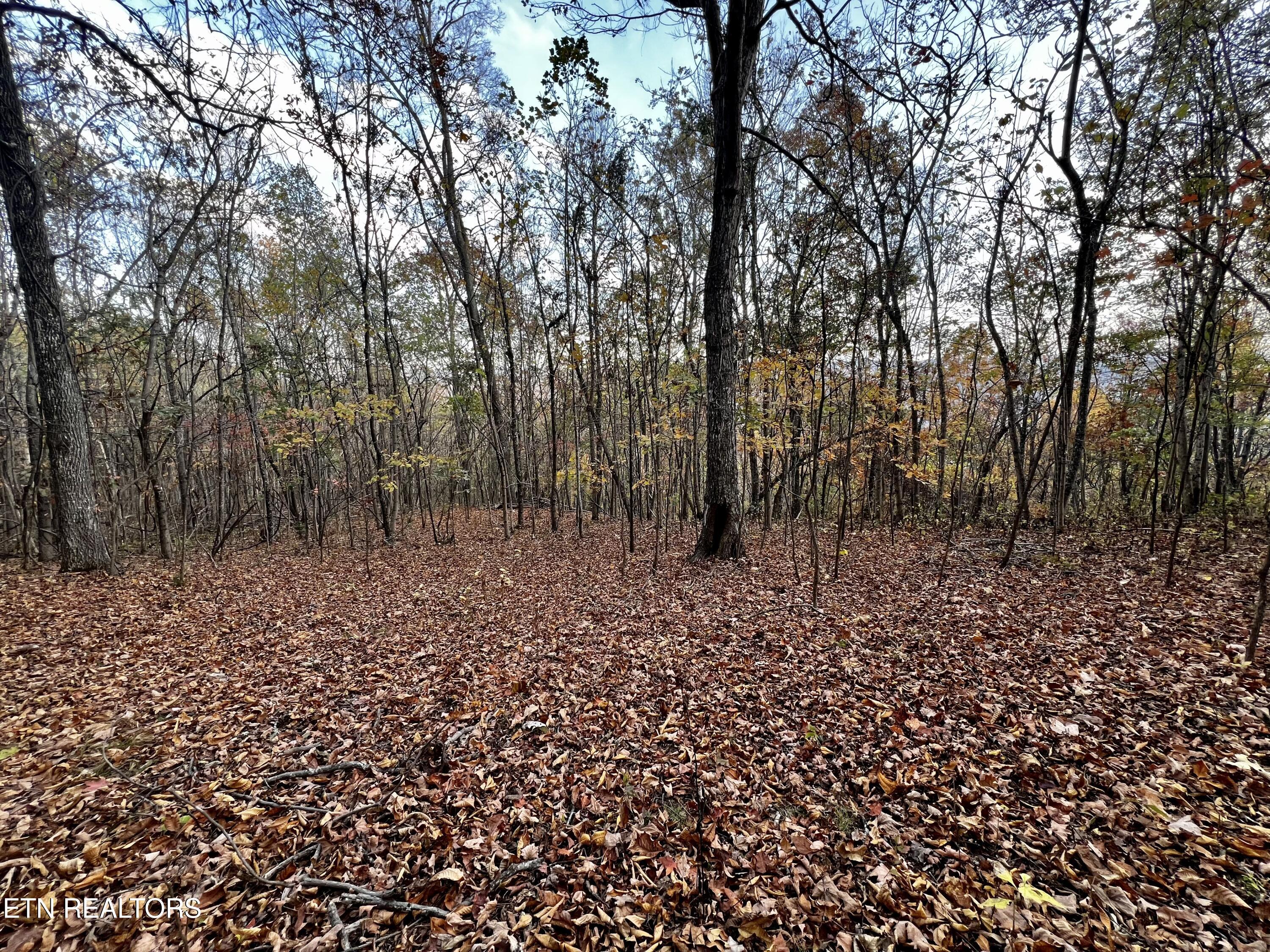 Lot 675 Chimney Rock Road New Tazewell TN 37825