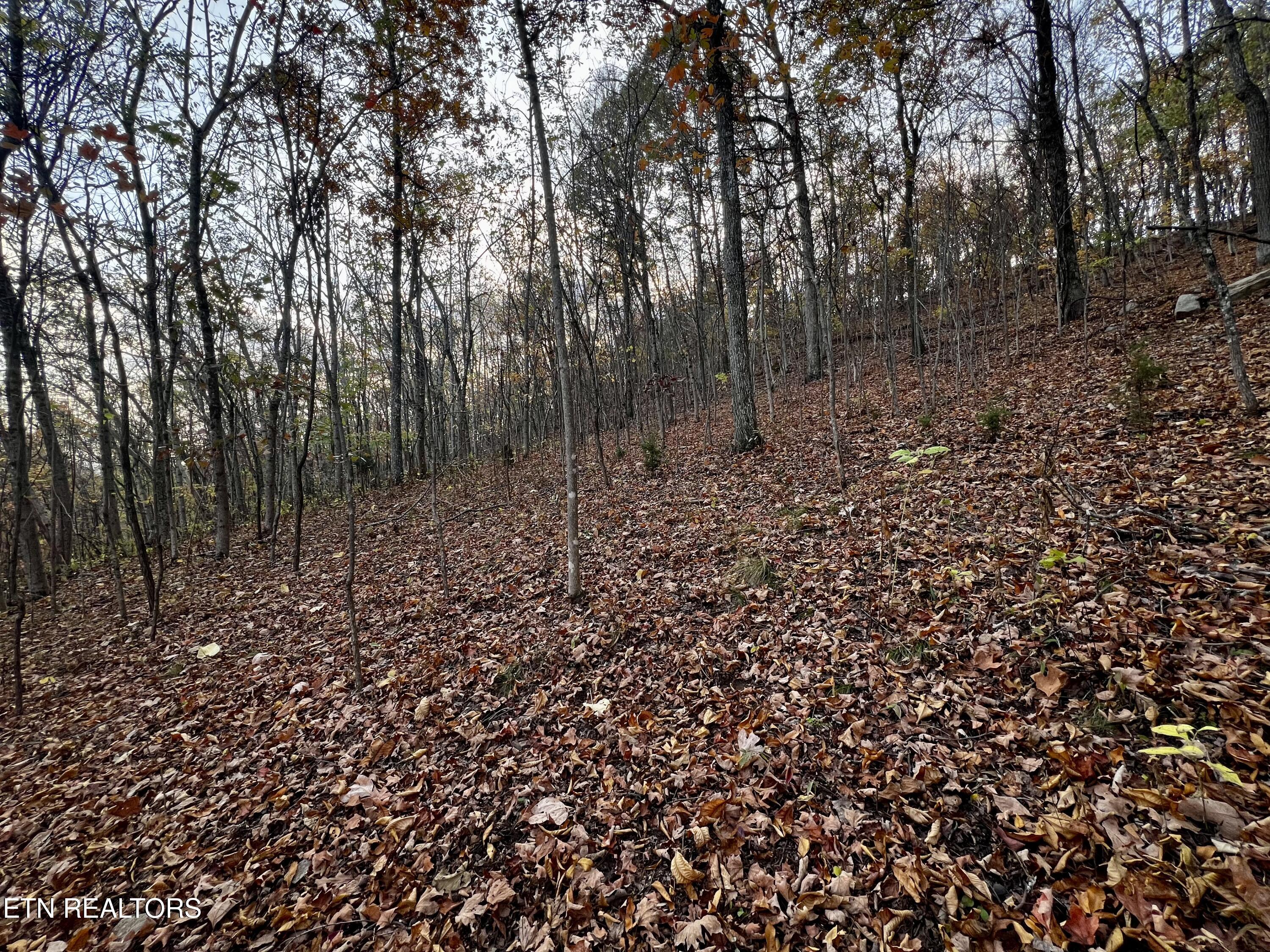 Lot 675 Chimney Rock Road New Tazewell TN 37825