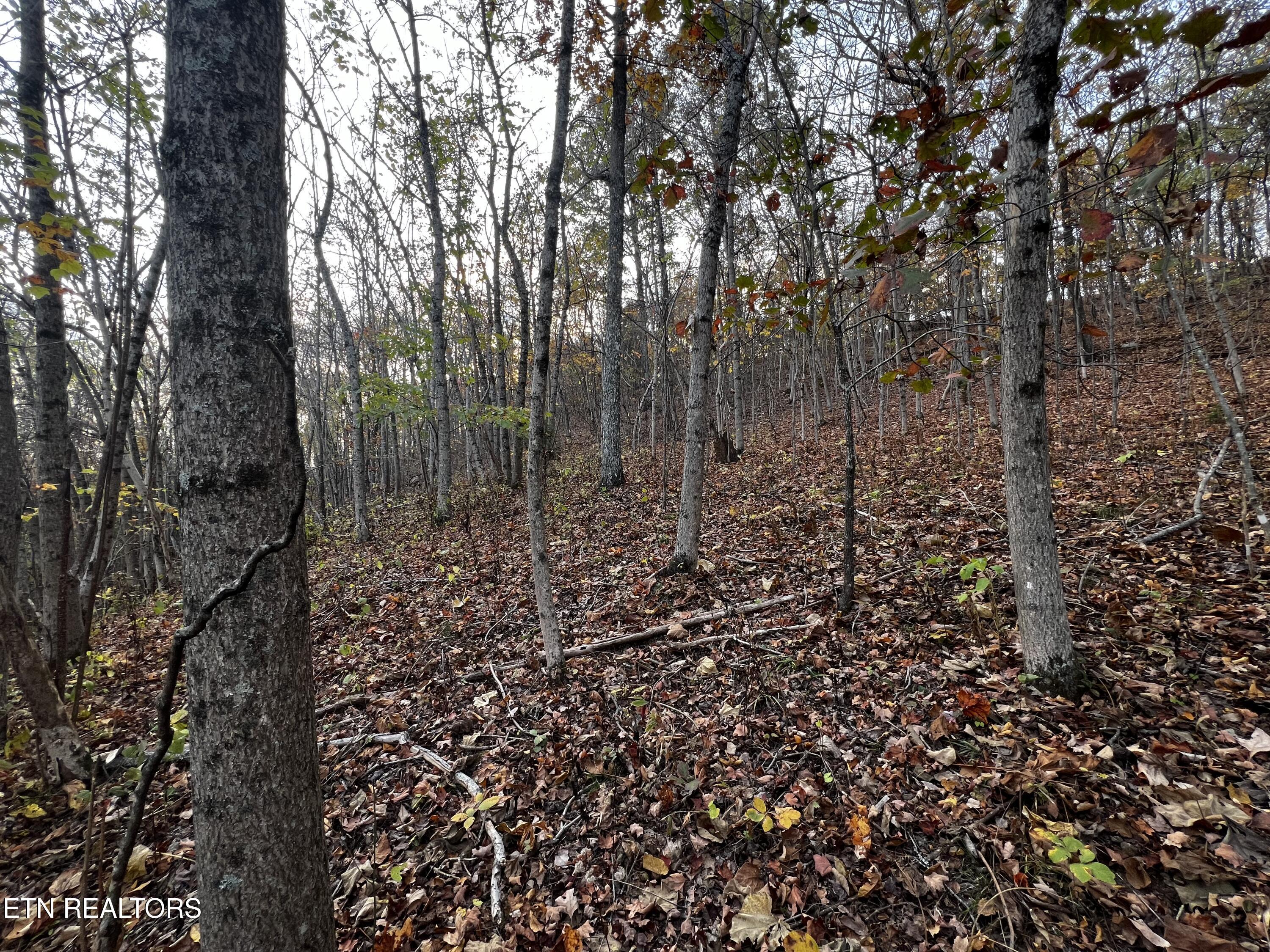Lot 675 Chimney Rock Road New Tazewell TN 37825