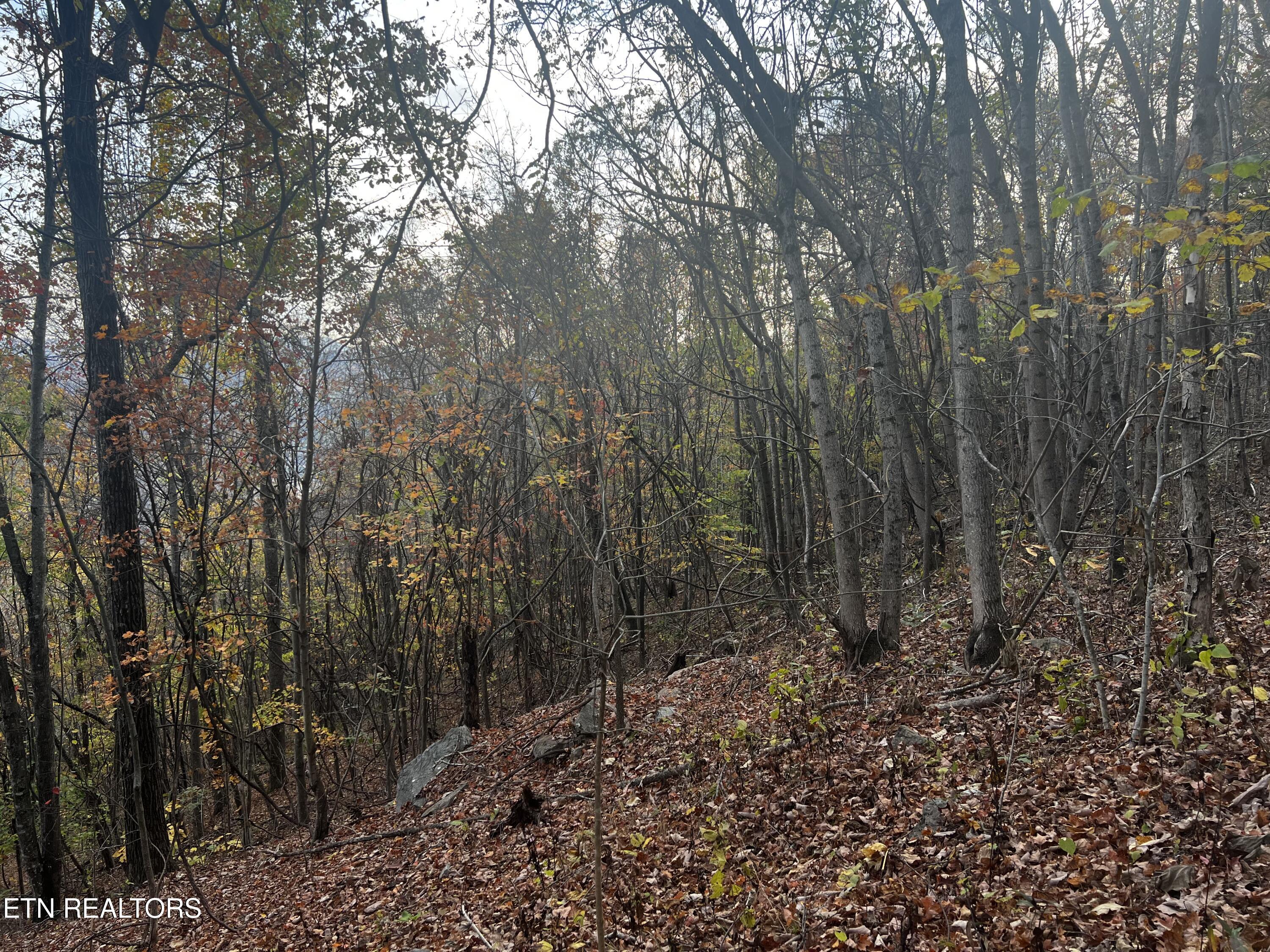 Lot 675 Chimney Rock Road New Tazewell TN 37825