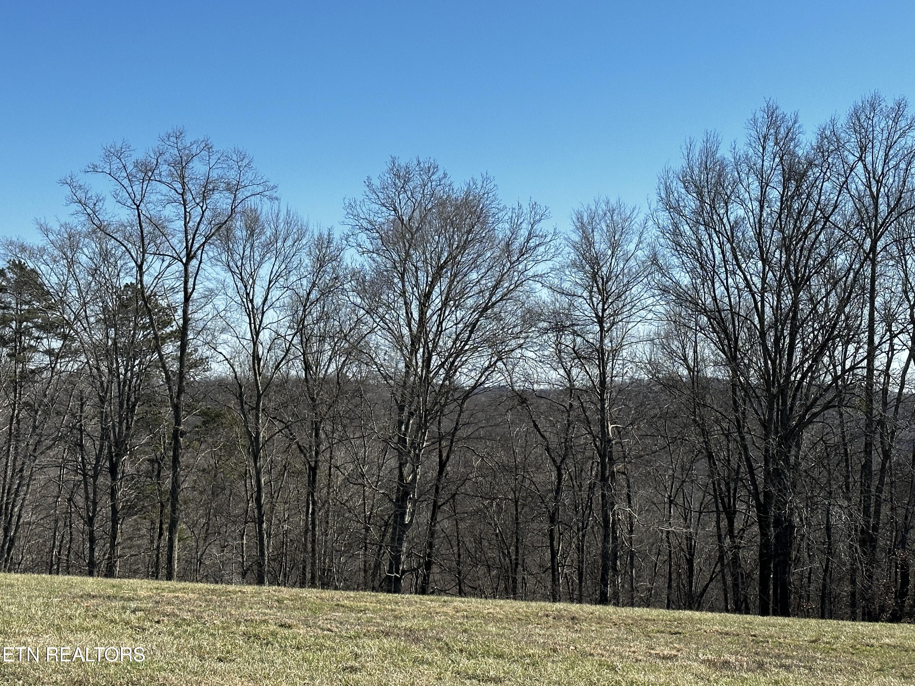 535 Prestige Ridge Lafollette TN 37766