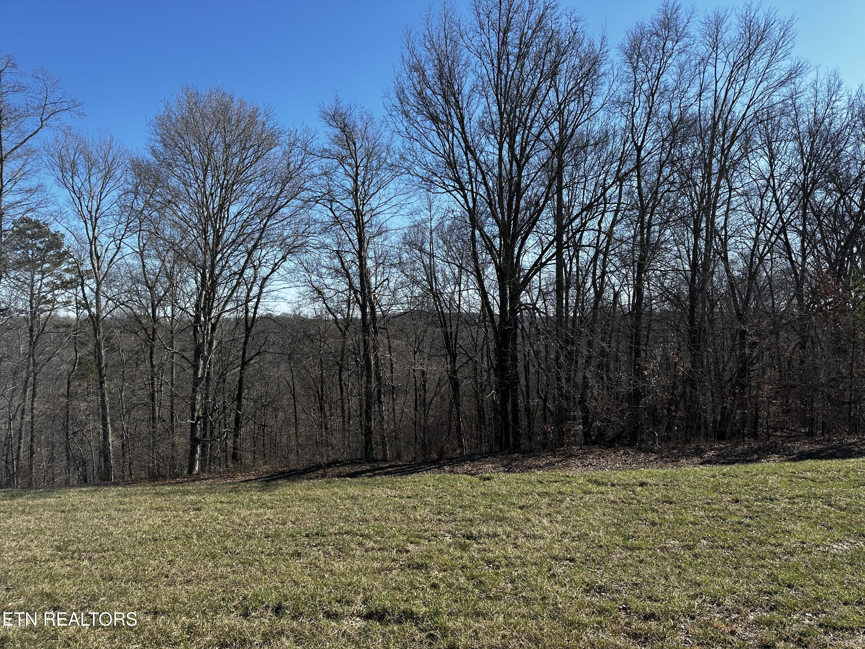 535 Prestige Ridge Lafollette TN 37766