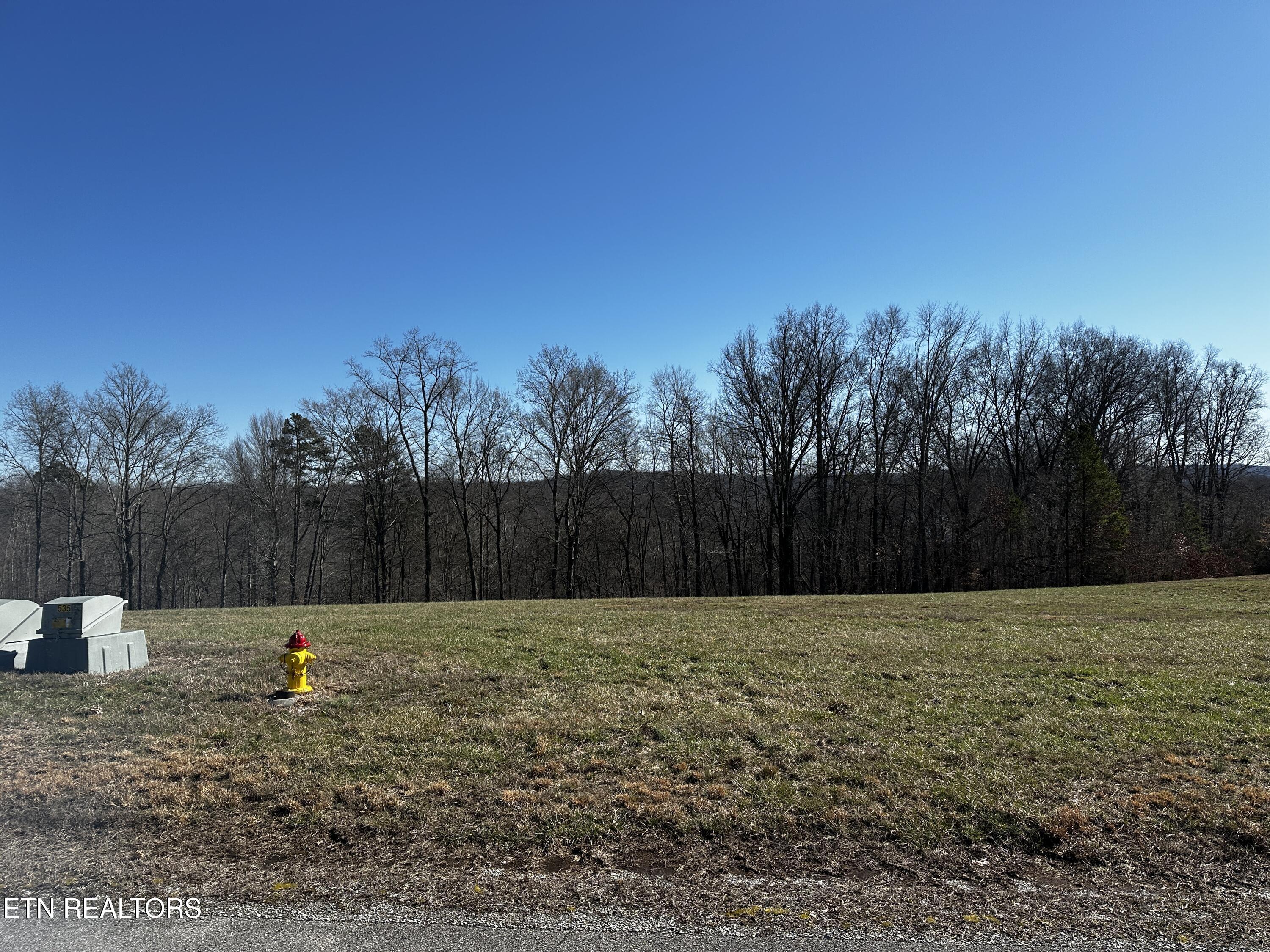 535 Prestige Ridge Lafollette TN 37766