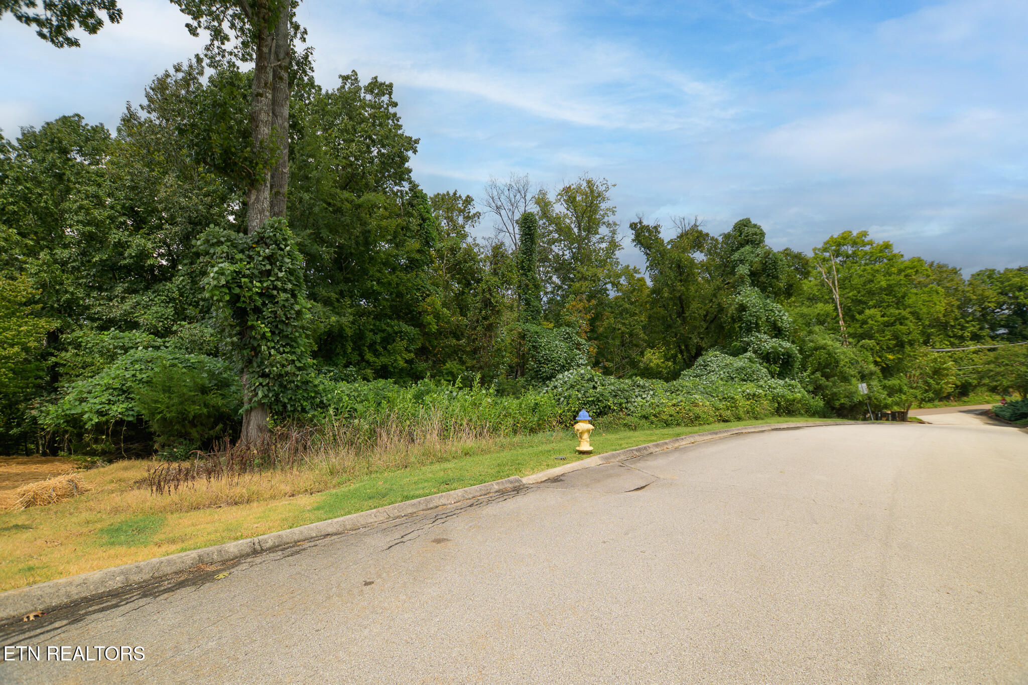 2405 Citadel Lane Knoxville TN 37922