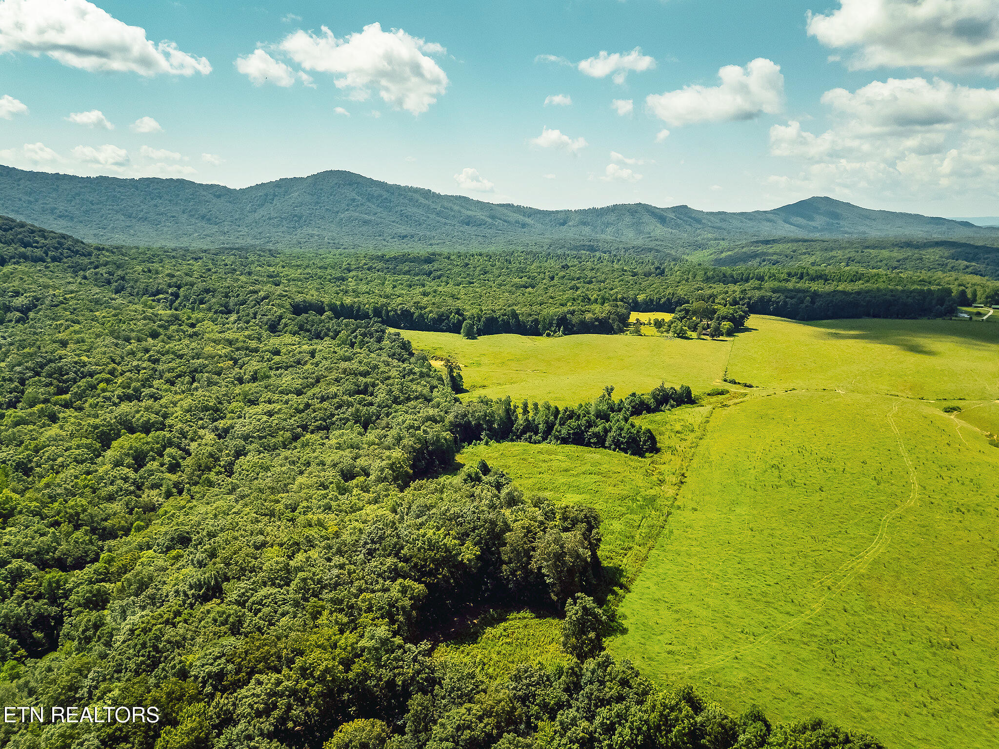 White Oak Circle Sunbright TN 37872