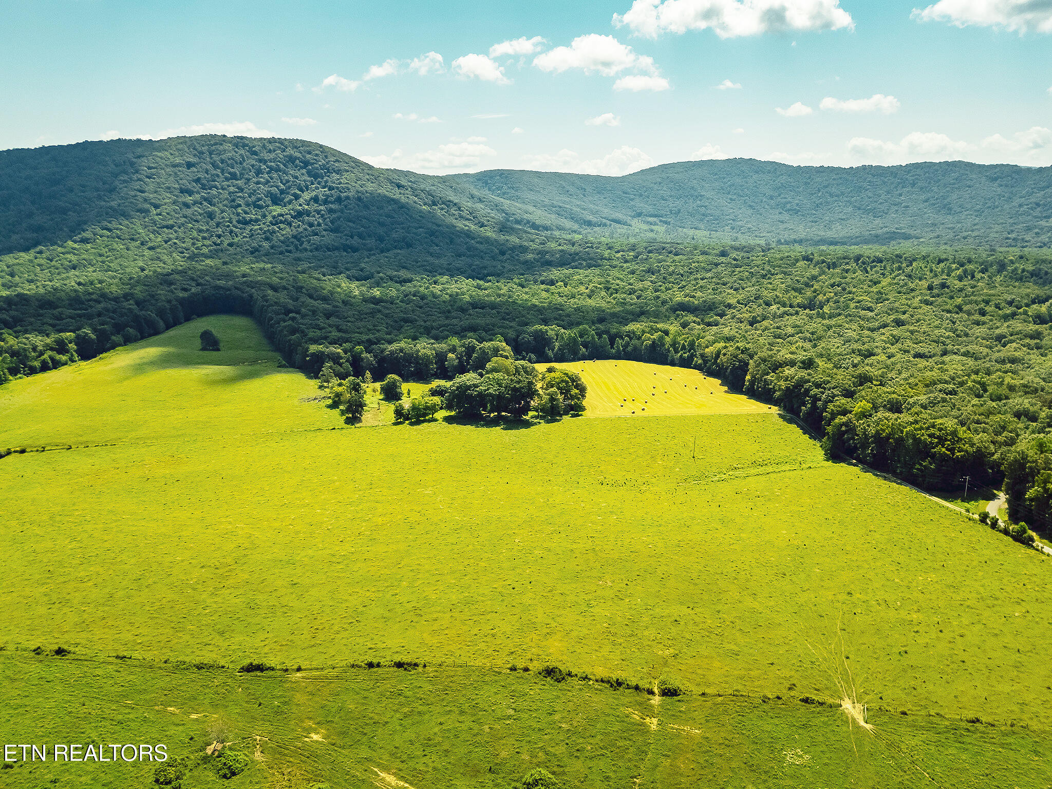 White Oak Circle Sunbright TN 37872