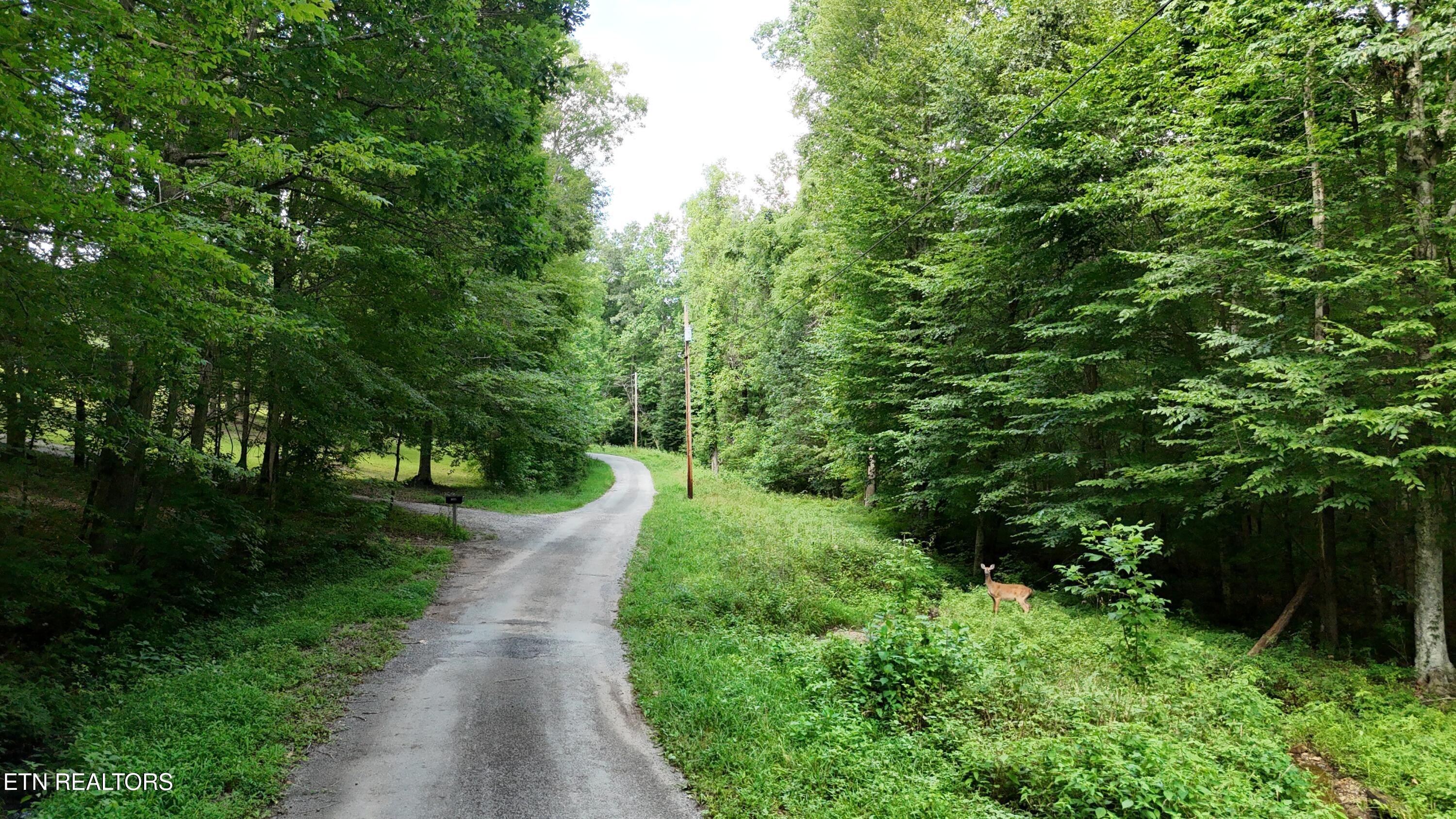 Lot 13/14 Clifton Cemetery Road Spring City TN 37381