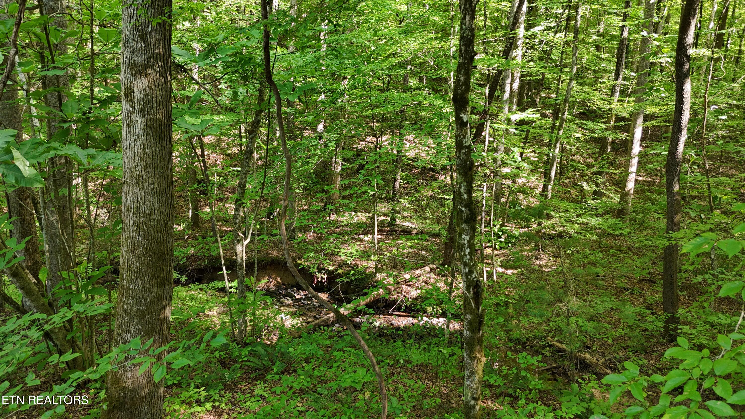 Lot 13/14 Clifton Cemetery Road Spring City TN 37381