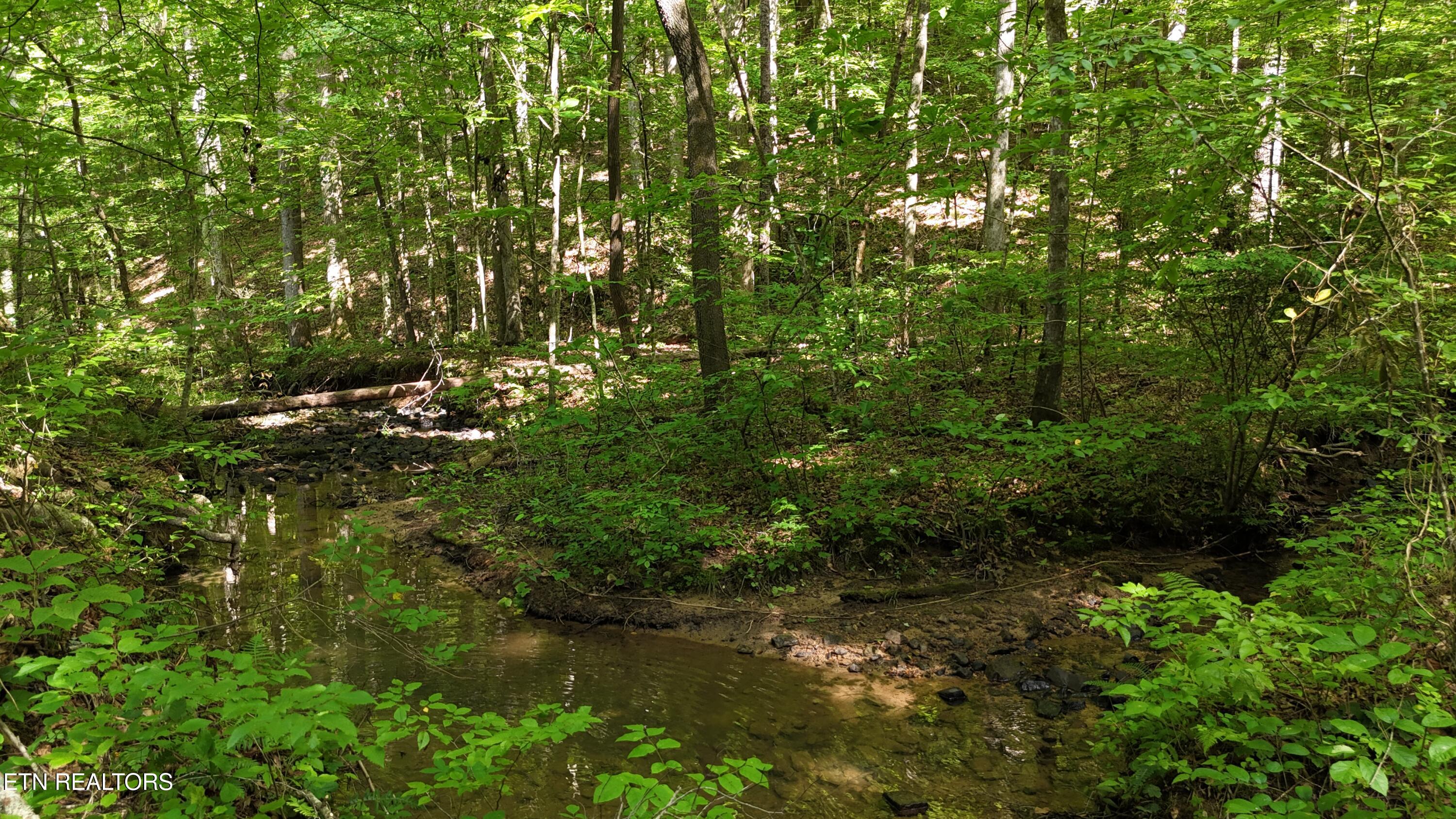 Lot 13/14 Clifton Cemetery Road Spring City TN 37381