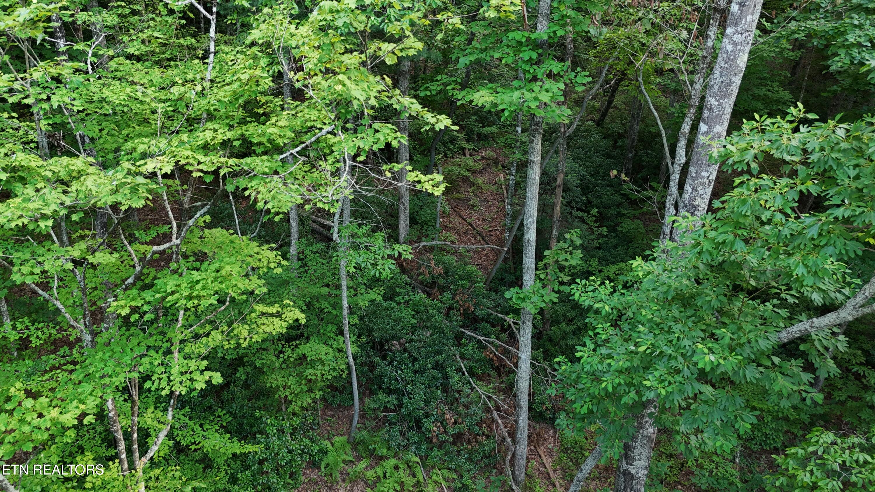 Lot 13/14 Clifton Cemetery Road Spring City TN 37381