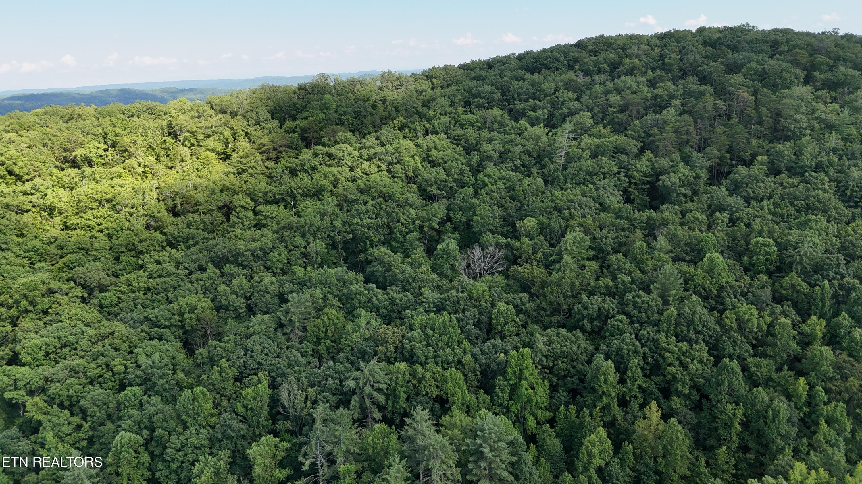 Lot 13/14 Clifton Cemetery Road Spring City TN 37381