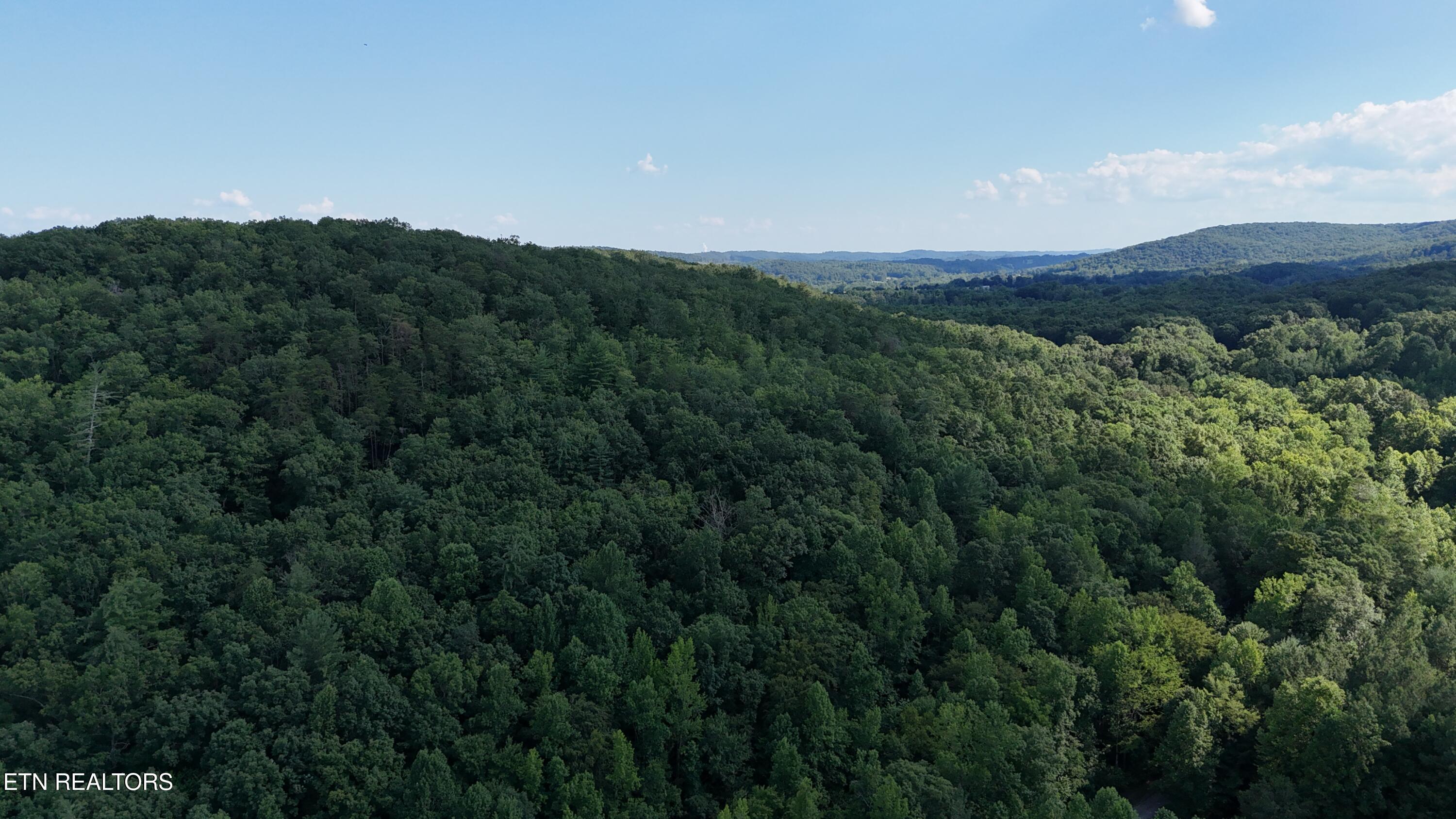 Lot 13/14 Clifton Cemetery Road Spring City TN 37381