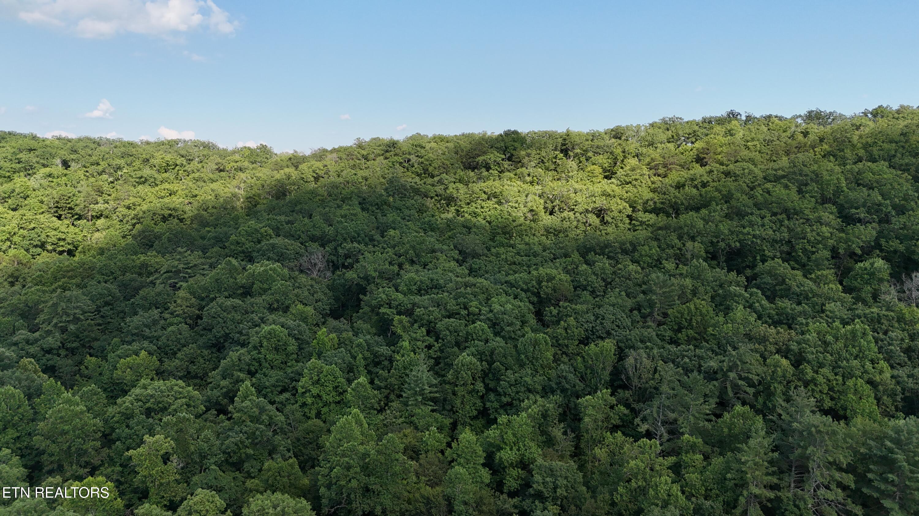 Lot 13/14 Clifton Cemetery Road Spring City TN 37381