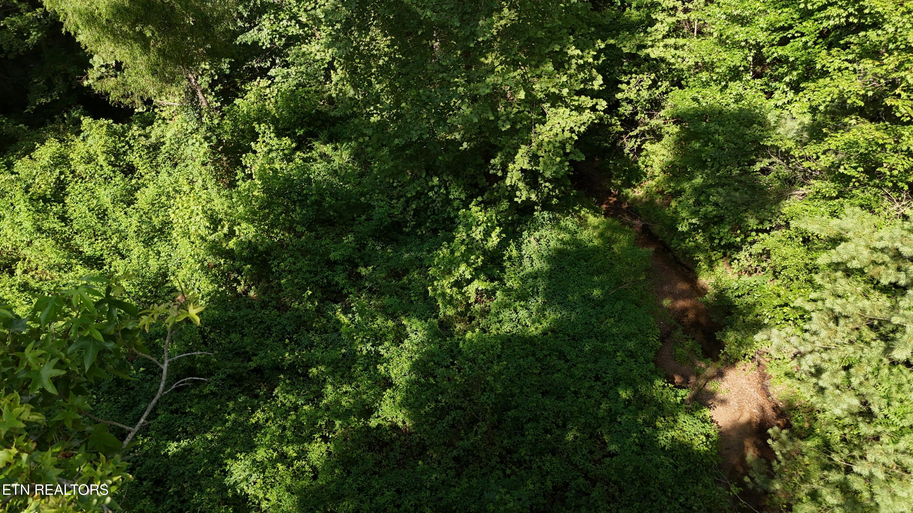 Lot 13/14 Clifton Cemetery Road Spring City TN 37381