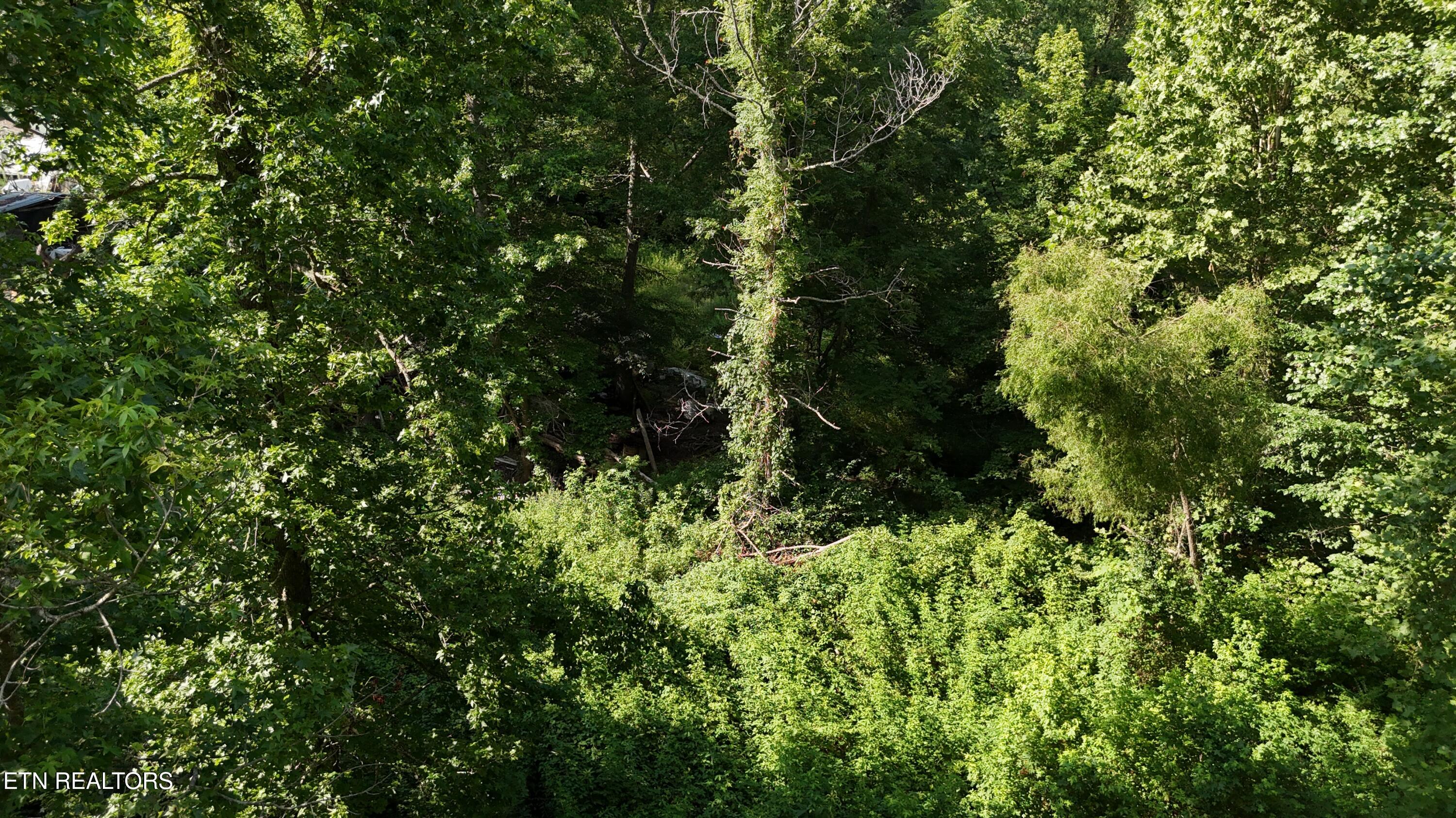 Lot 13/14 Clifton Cemetery Road Spring City TN 37381