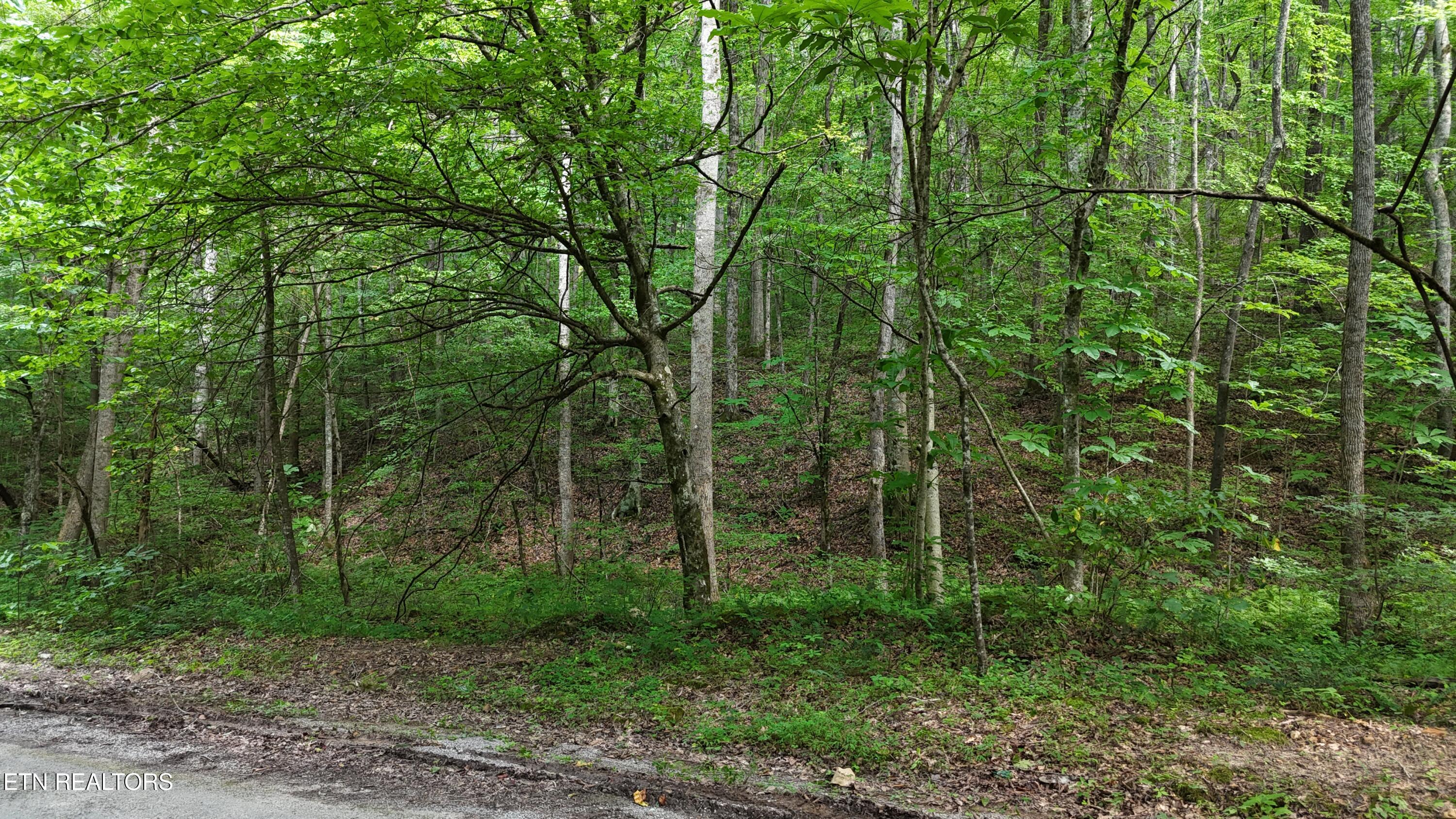 Lot 13/14 Clifton Cemetery Road Spring City TN 37381