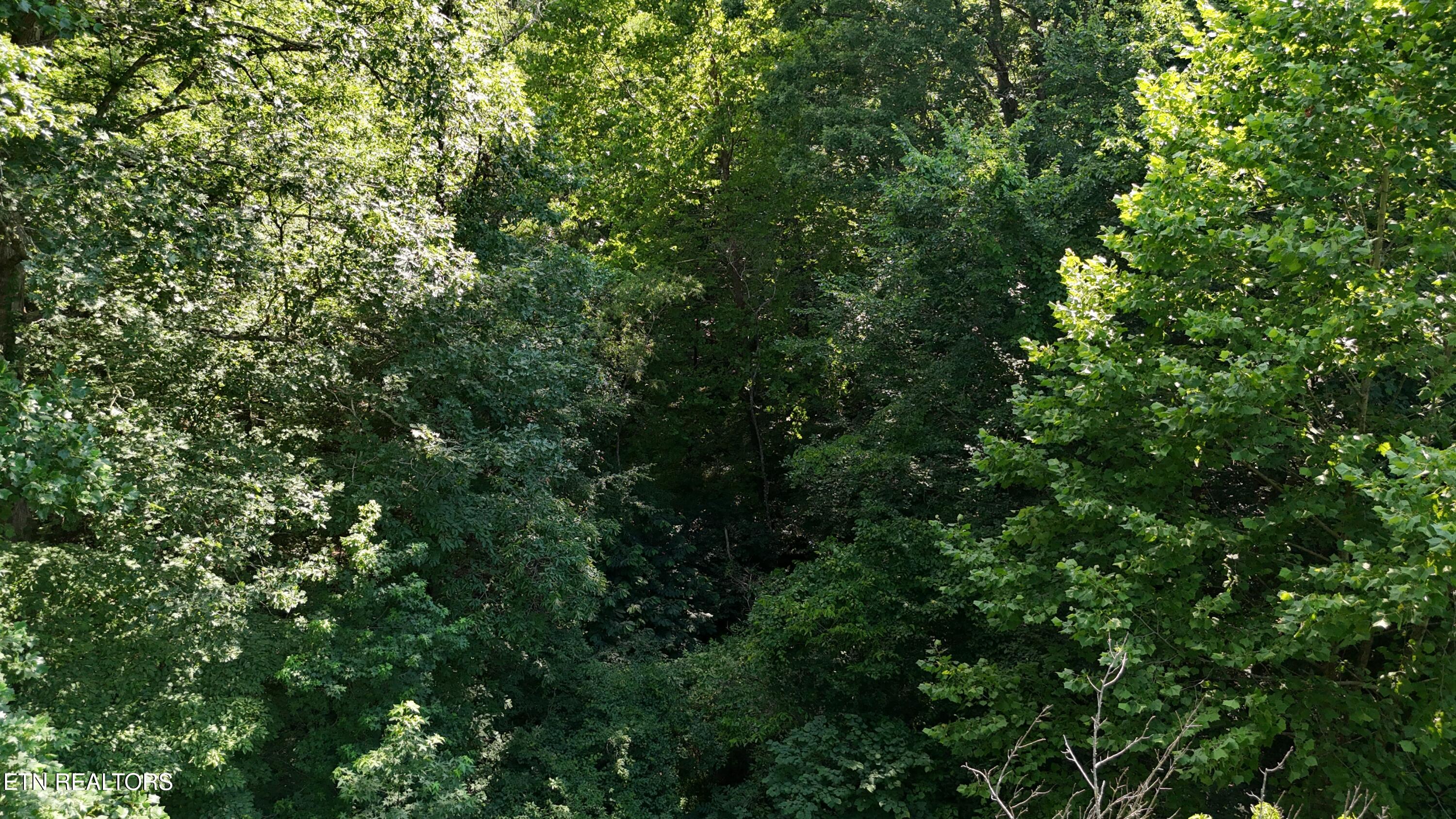 Lot 13/14 Clifton Cemetery Road Spring City TN 37381
