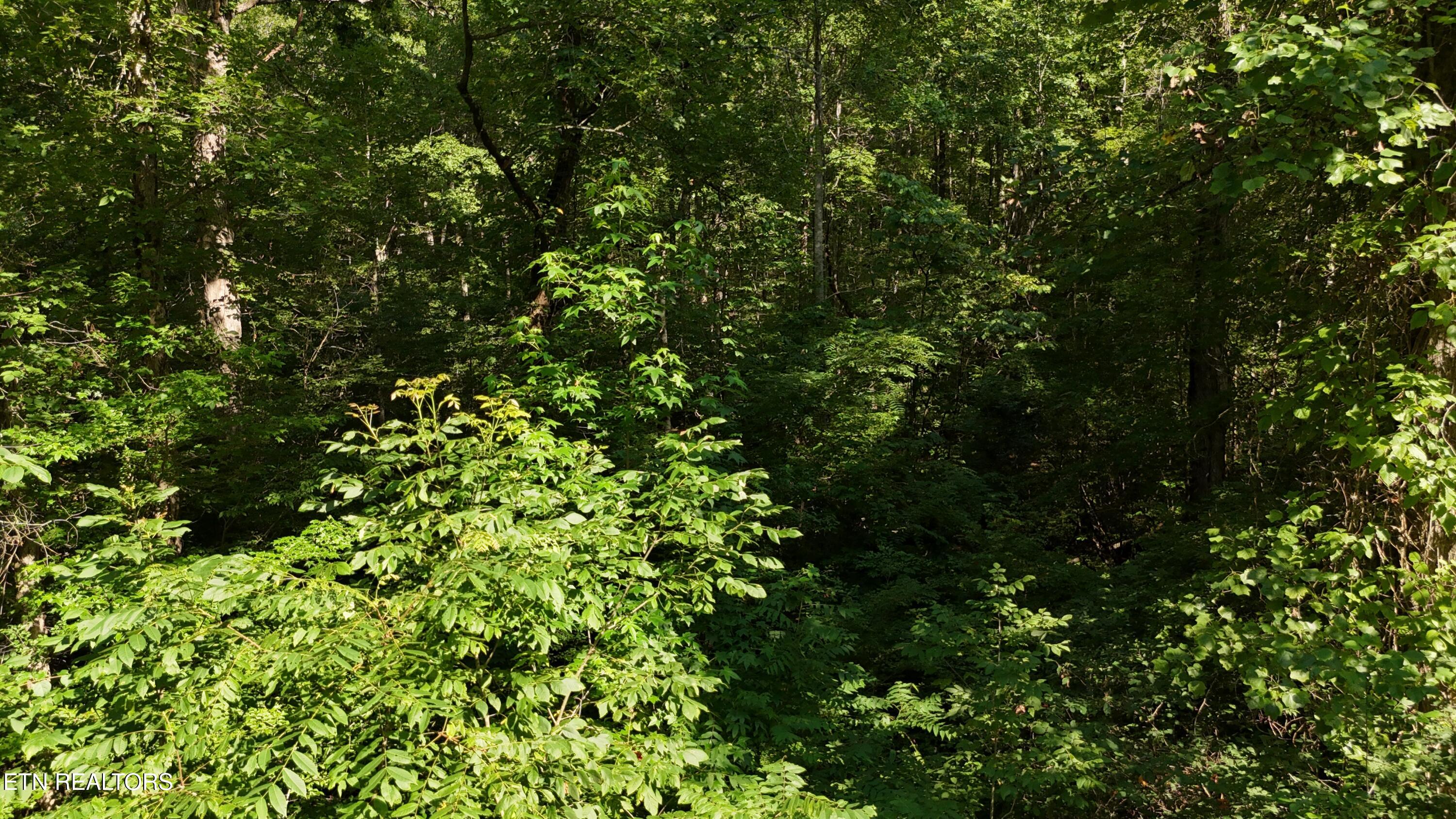 Lot 13/14 Clifton Cemetery Road Spring City TN 37381