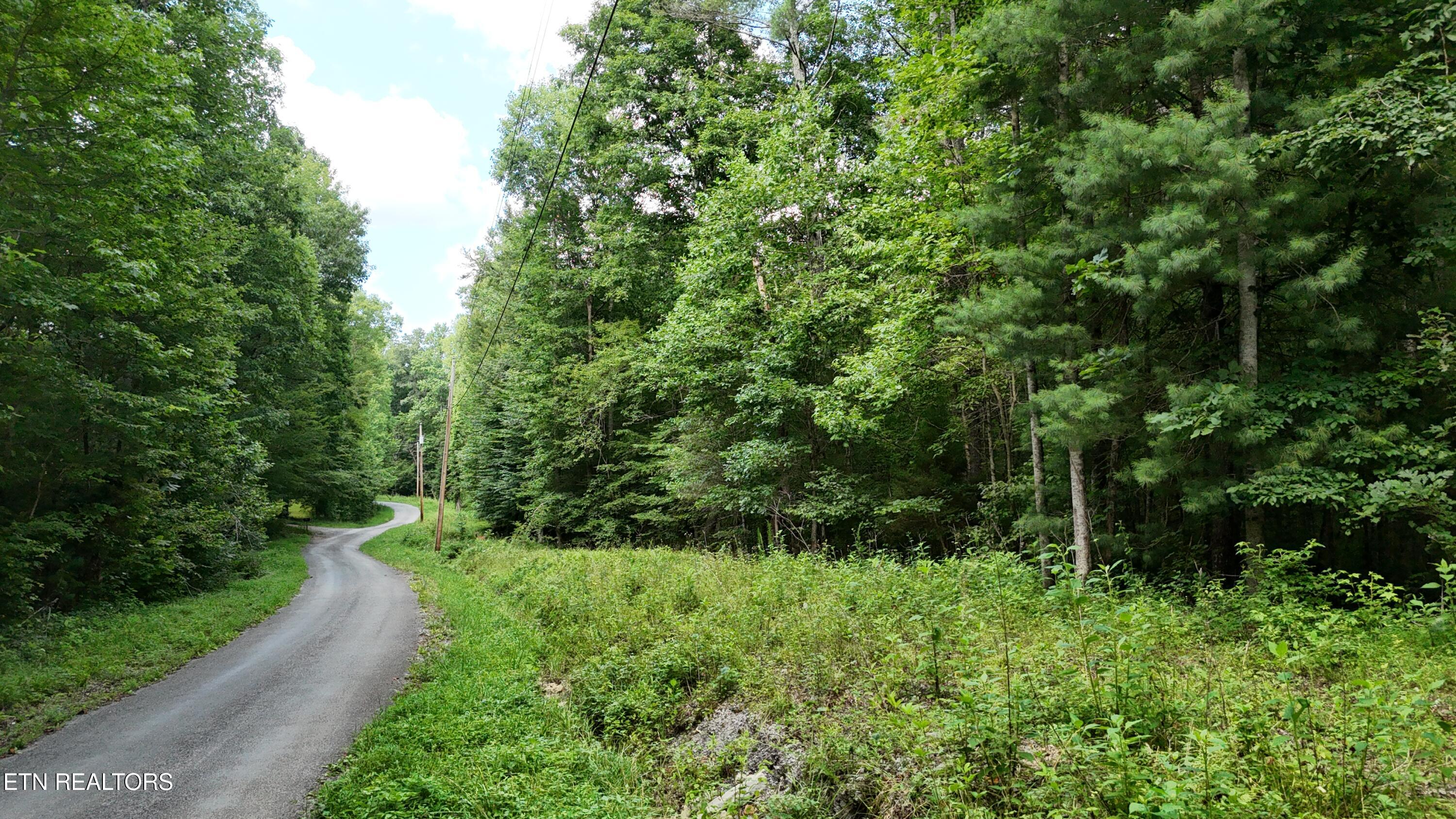 Lot 13/14 Clifton Cemetery Road Spring City TN 37381