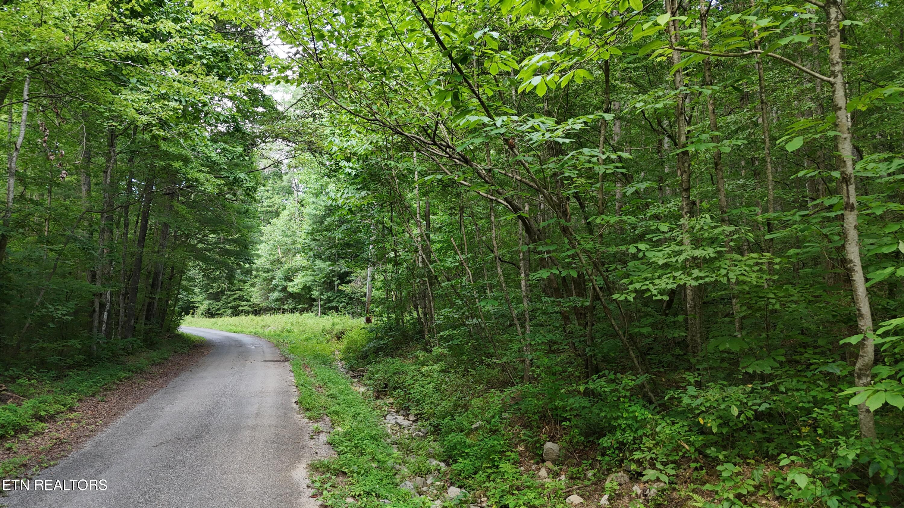 Lot 13/14 Clifton Cemetery Road Spring City TN 37381