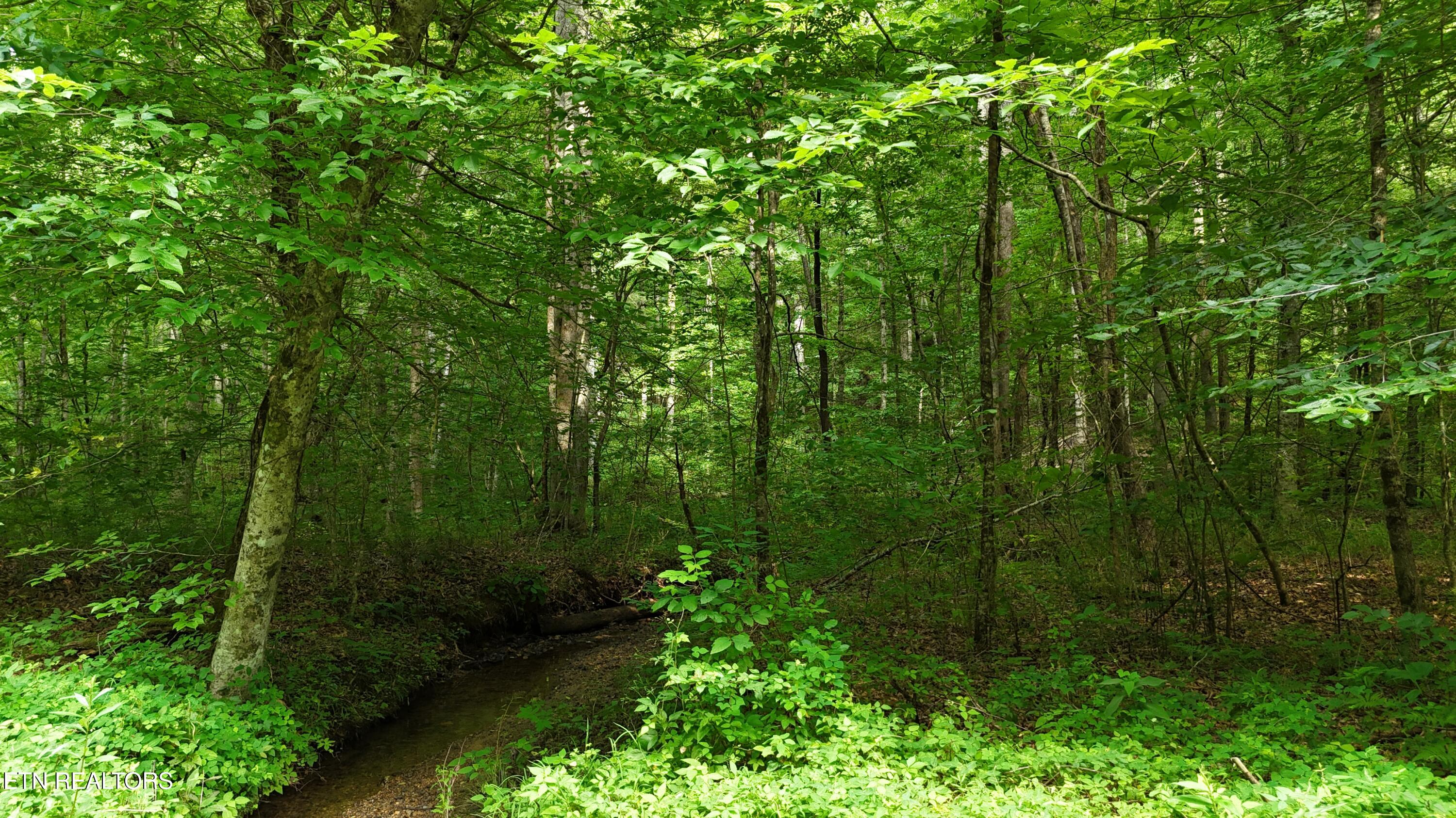 Lot 13/14 Clifton Cemetery Road Spring City TN 37381