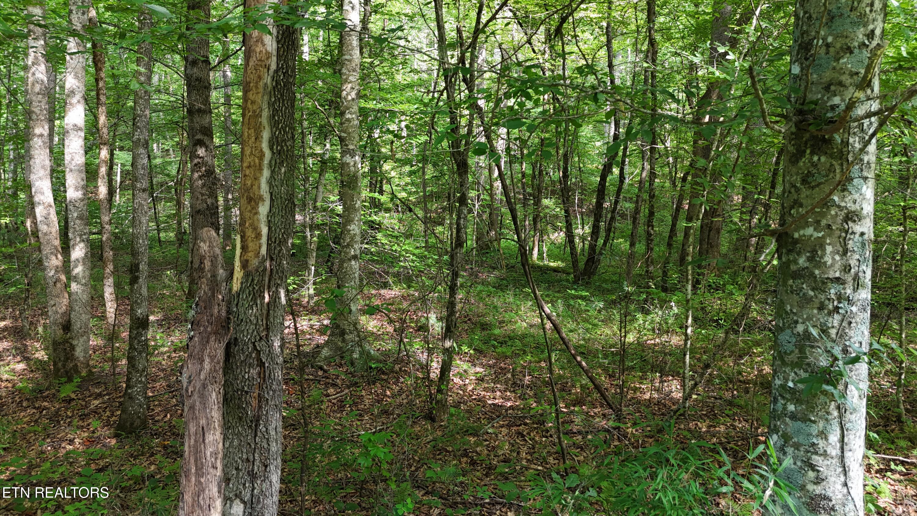 Lot 13/14 Clifton Cemetery Road Spring City TN 37381