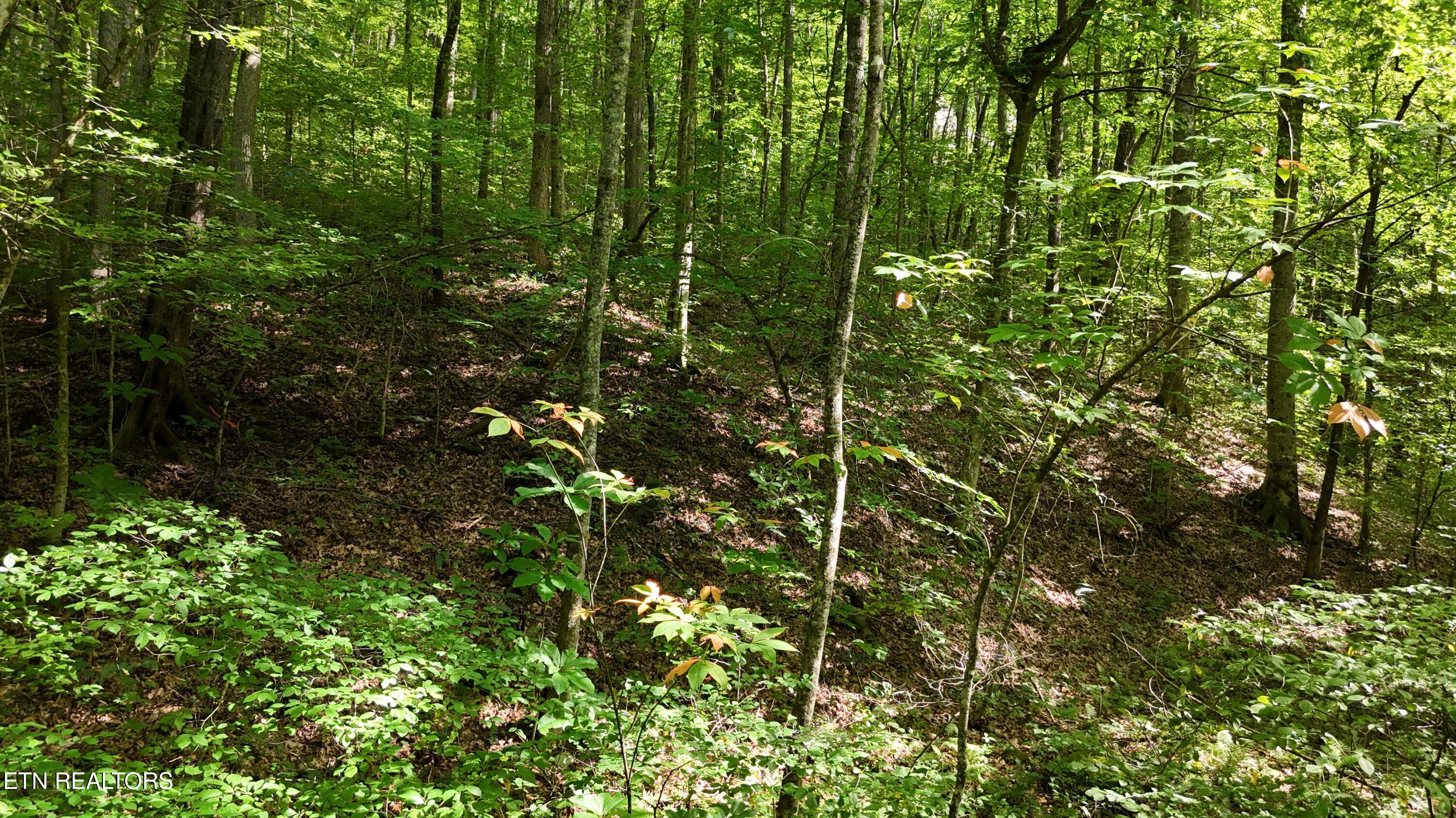 Lot 13/14 Clifton Cemetery Road Spring City TN 37381