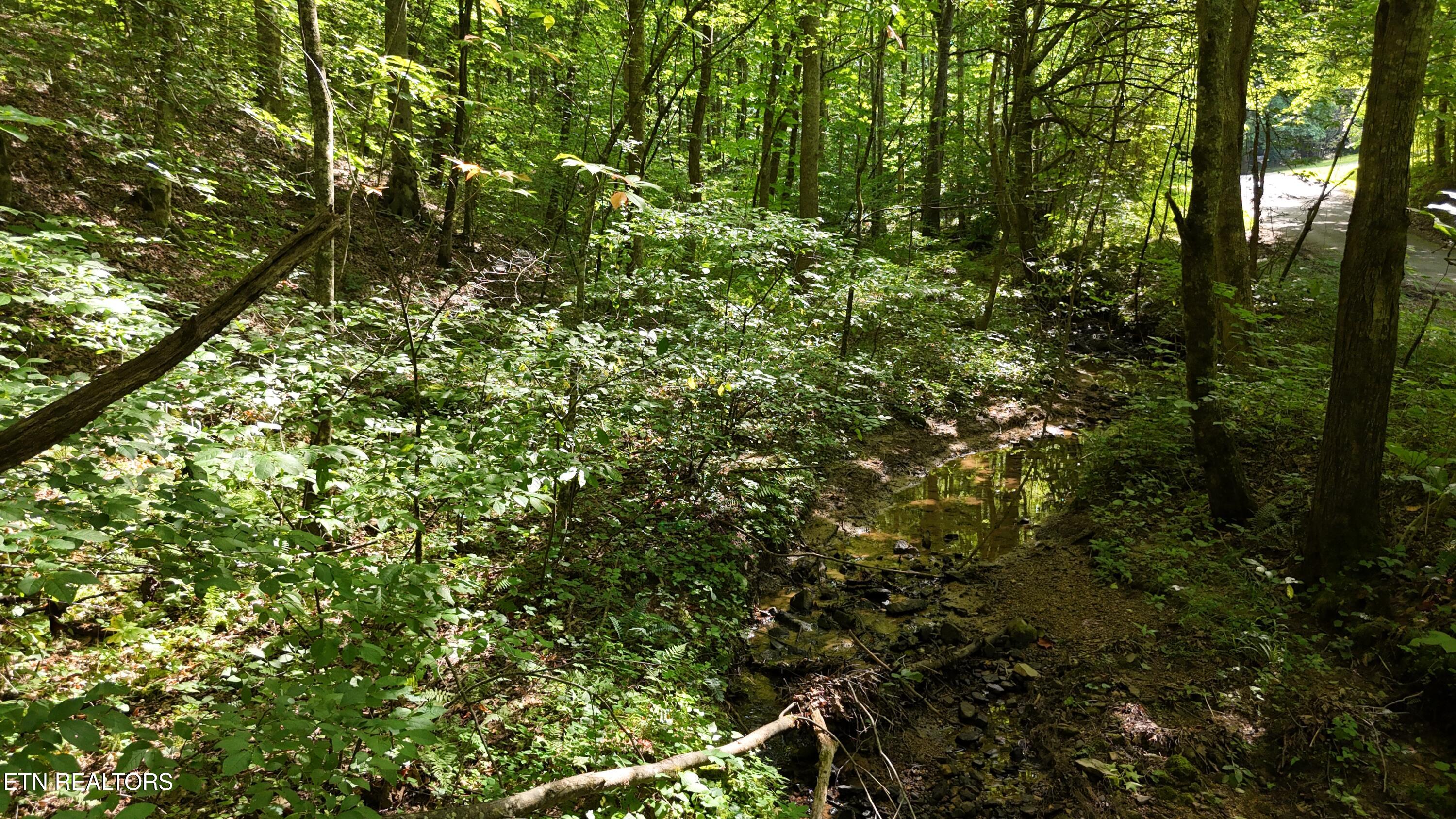 Lot 13/14 Clifton Cemetery Road Spring City TN 37381