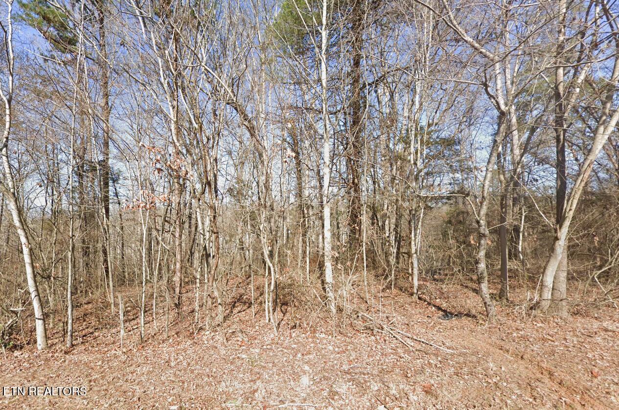 113 Chanusi Way Loudon TN 37774