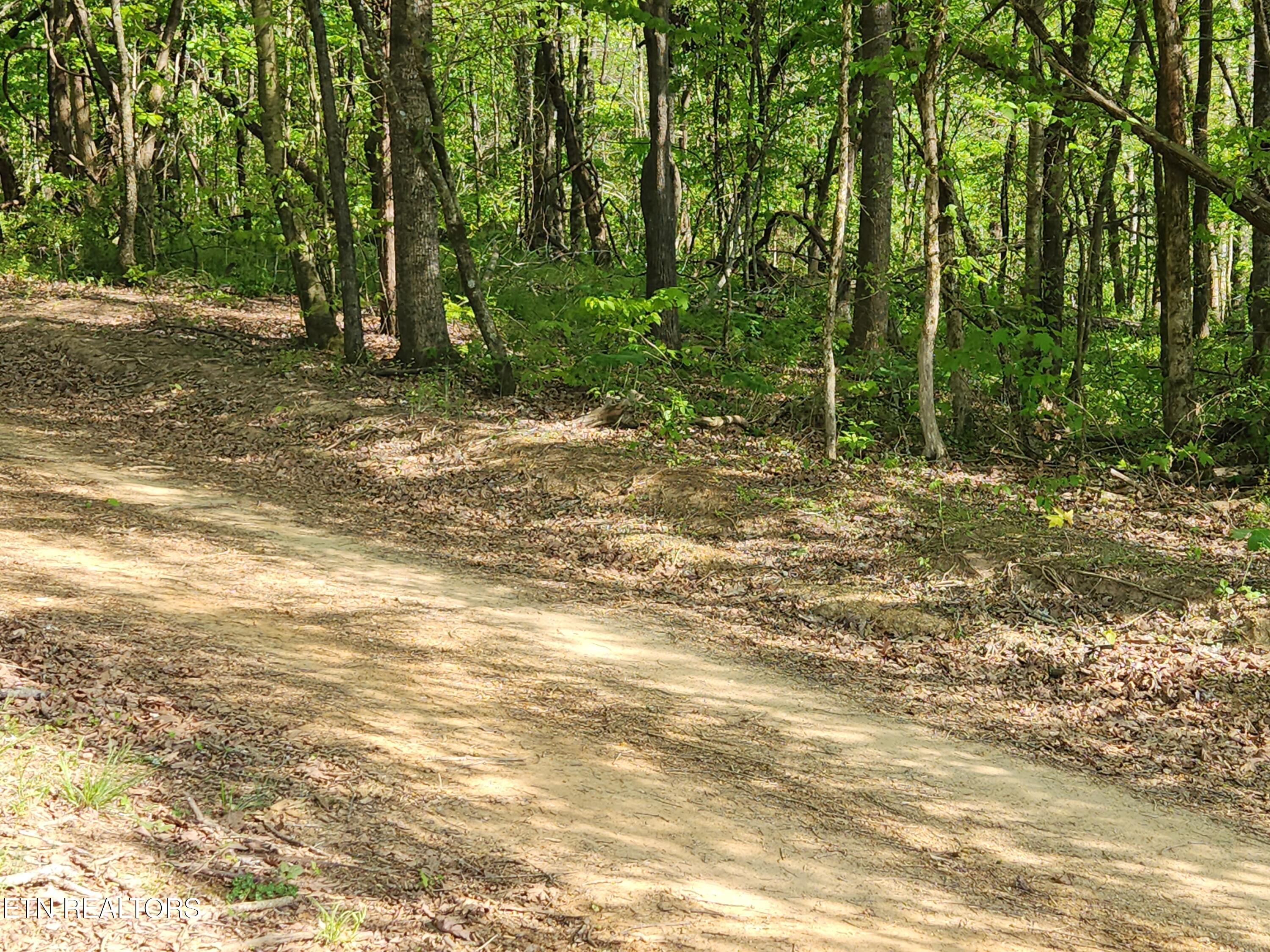 277 County Road 408 Englewood TN 37329