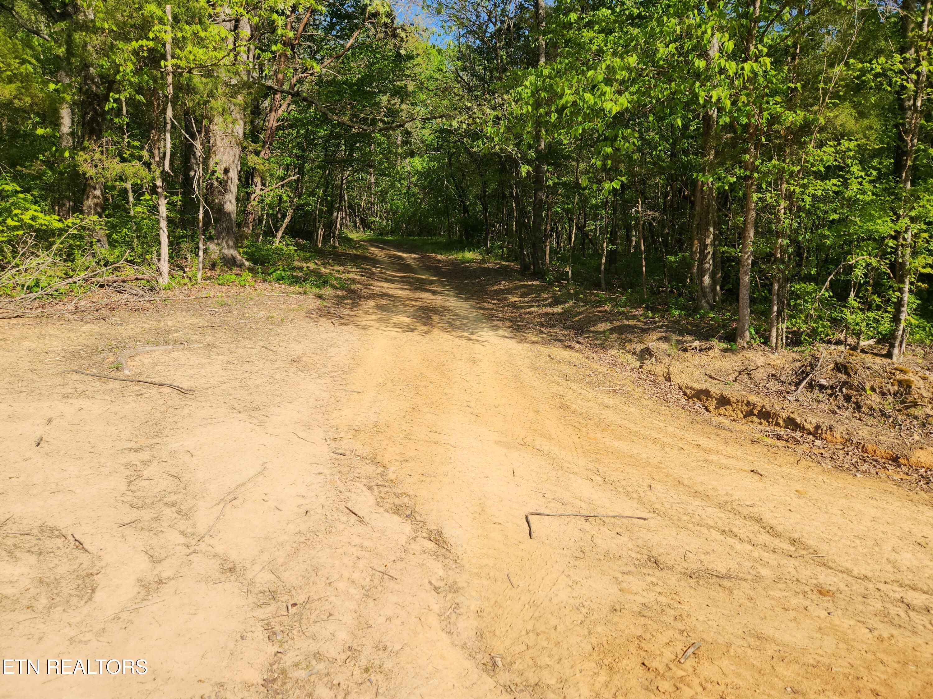 277 County Road 408 Englewood TN 37329