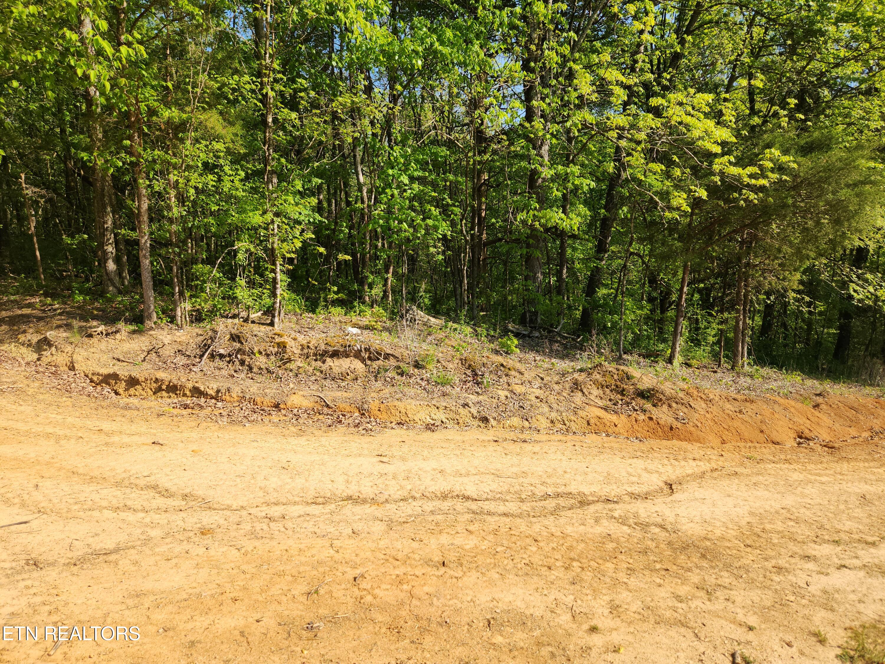 277 County Road 408 Englewood TN 37329